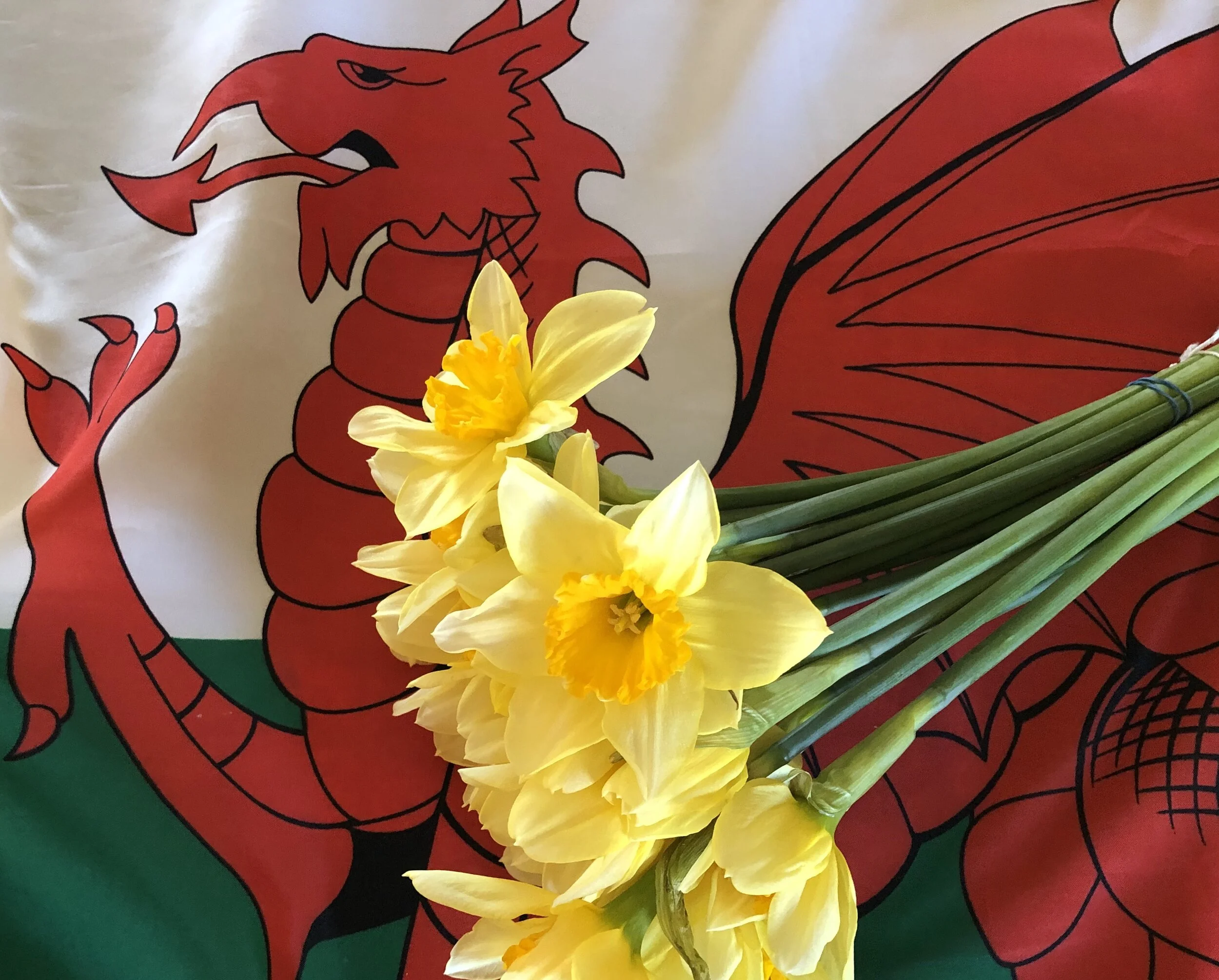 St David’s Day 2021 - Event Report