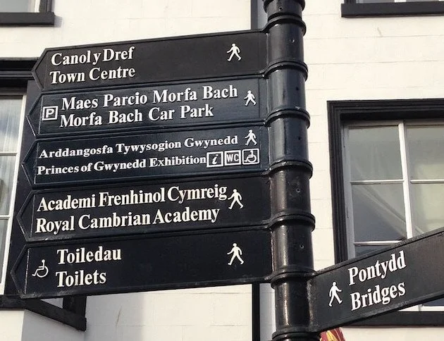 Welsh Conversation Group (Intermediate level) chats in MARCH