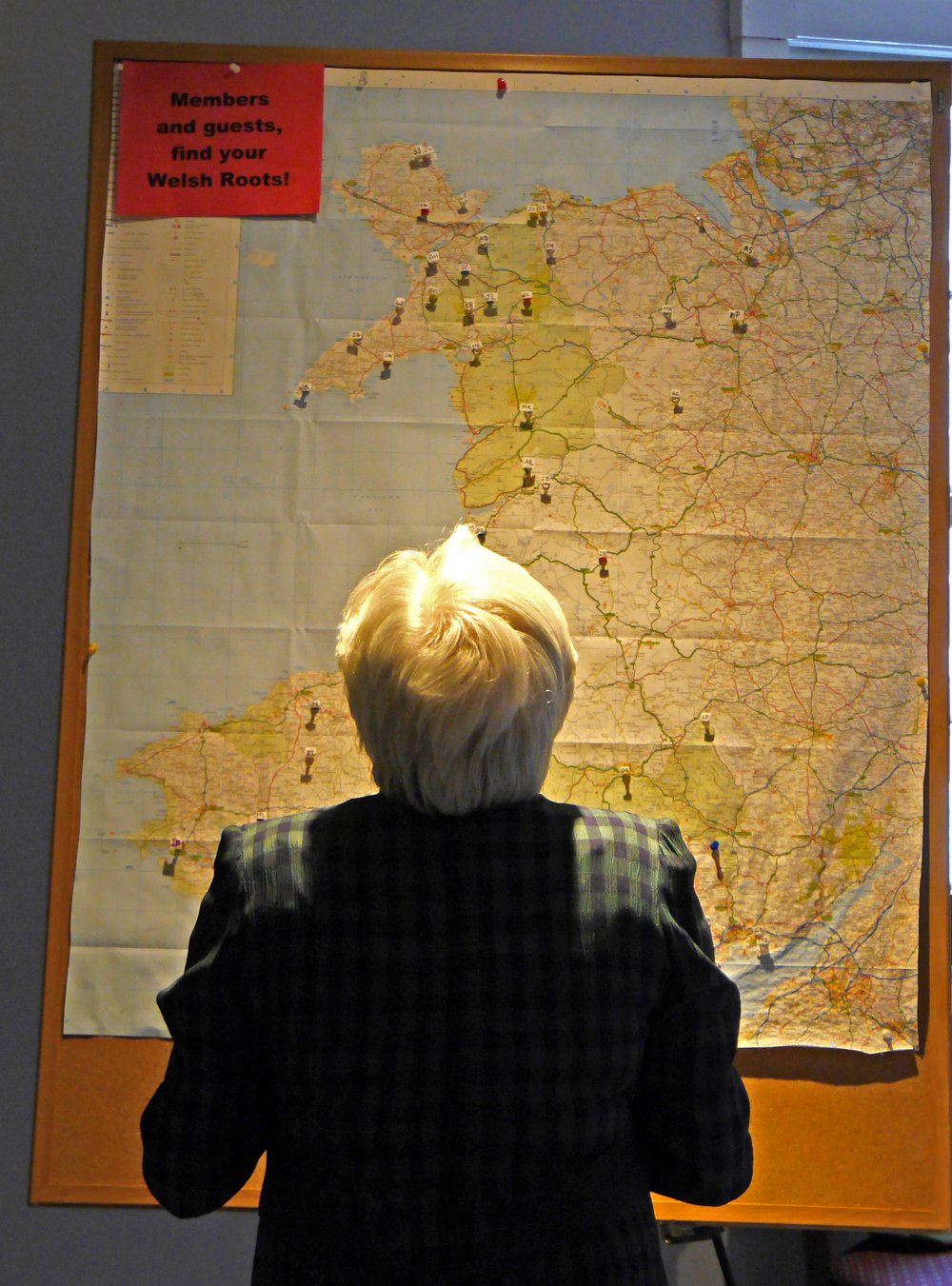 Member Janet Lewis gazes at the Welsh map with pins of Members’ roots