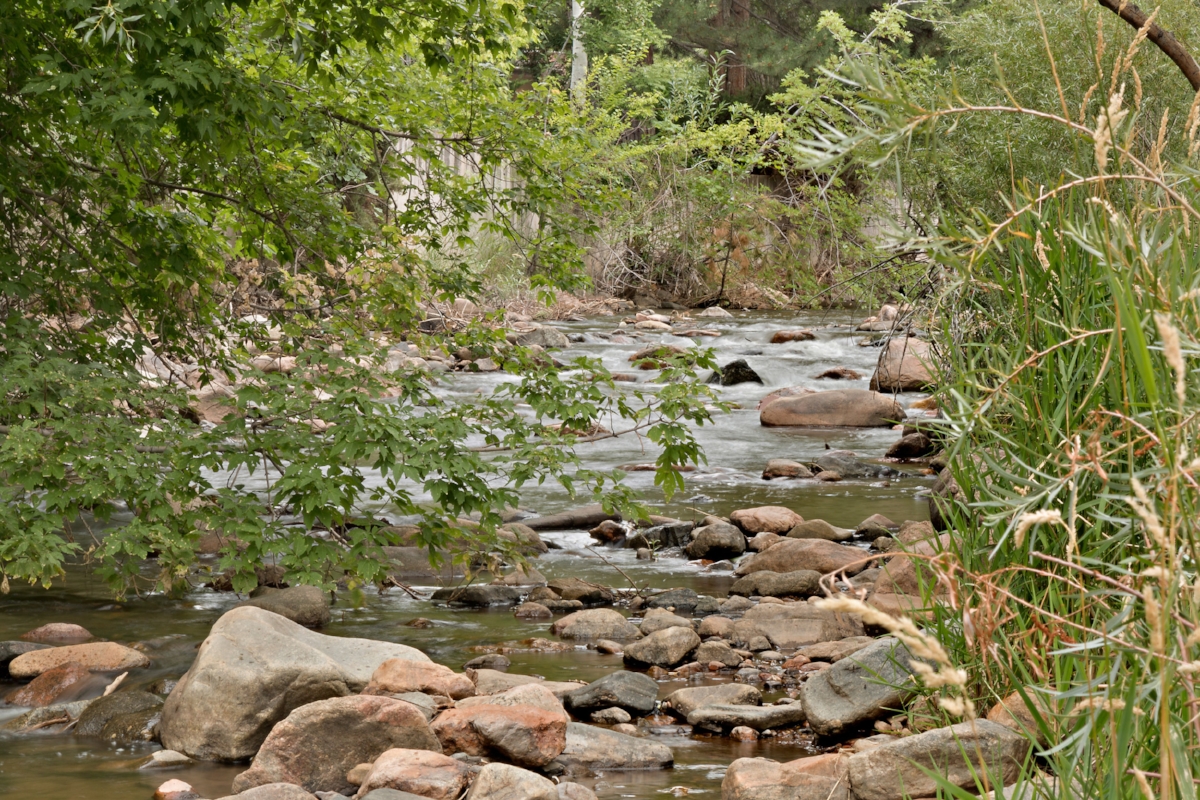 red-rocks-ranch-real-estate-rooney-valley-colorado-15.jpg