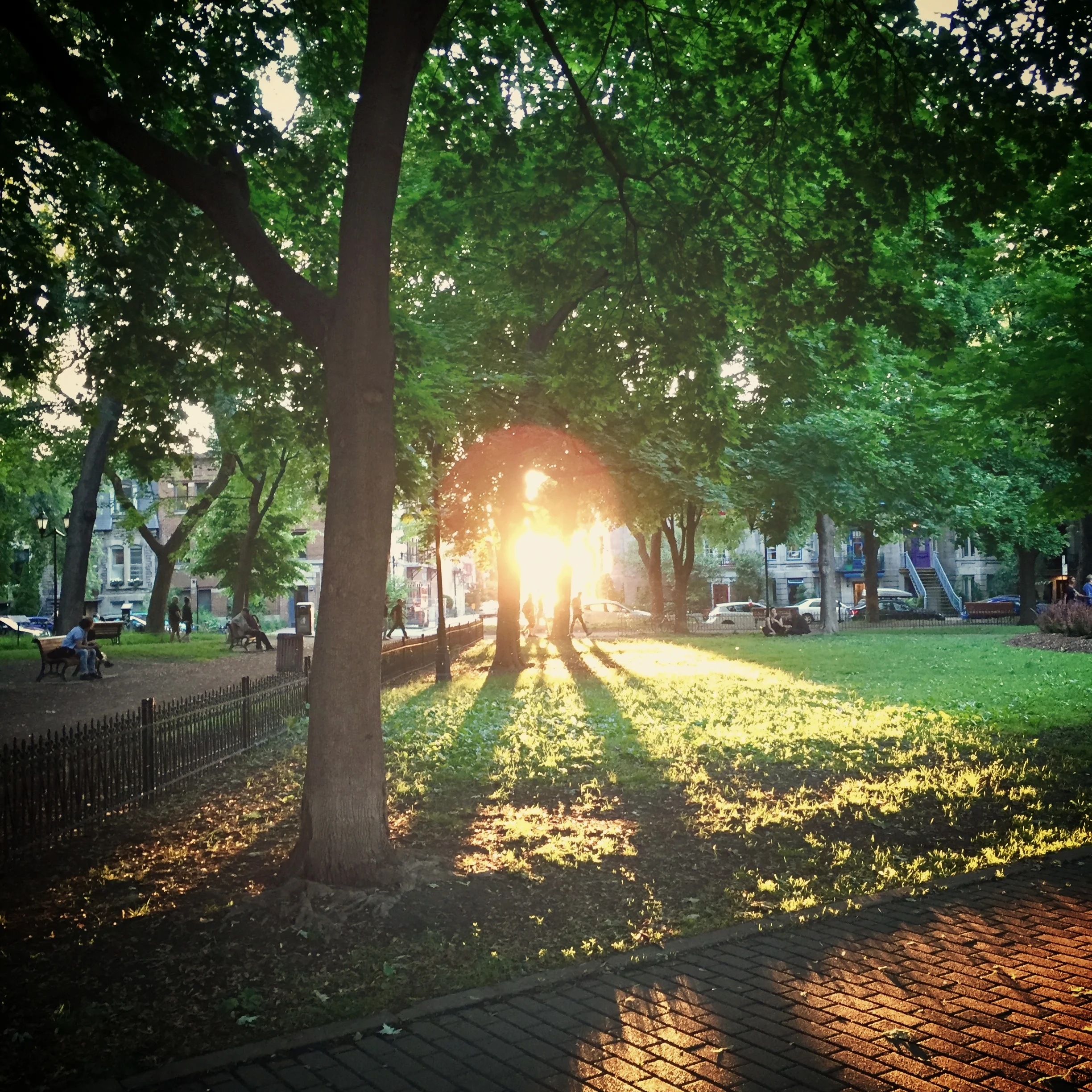 Matin