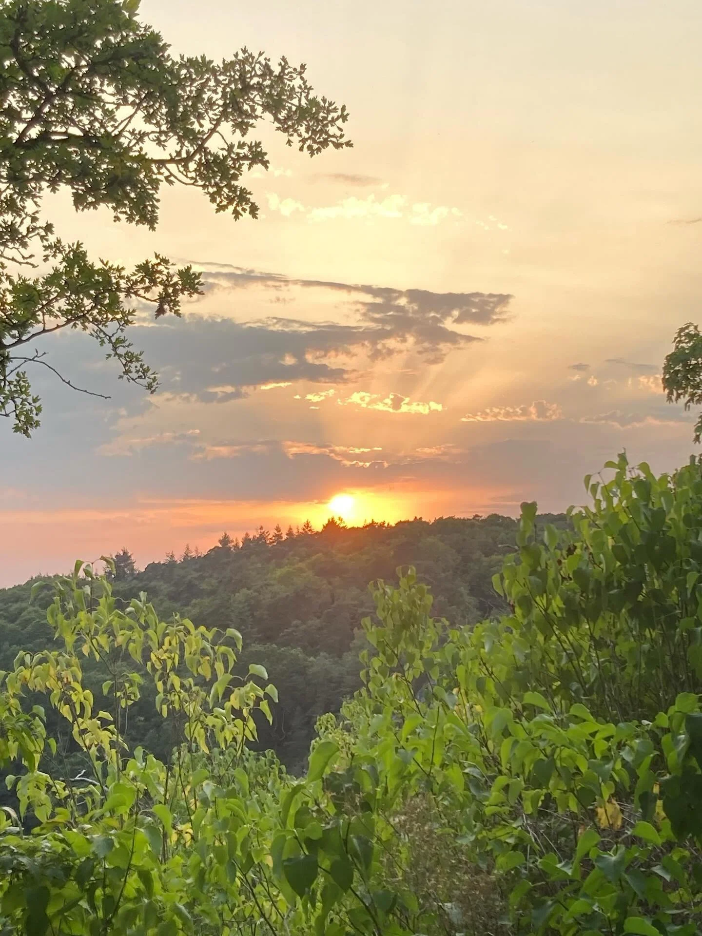 Je ne me lasserai jamais des soirs d'&eacute;t&eacute;.

#inspiration #sunset 
#domfrontenpoiraie #normandie #citemedievale #medievalcity #paysdedomfront @ornepurenormandie