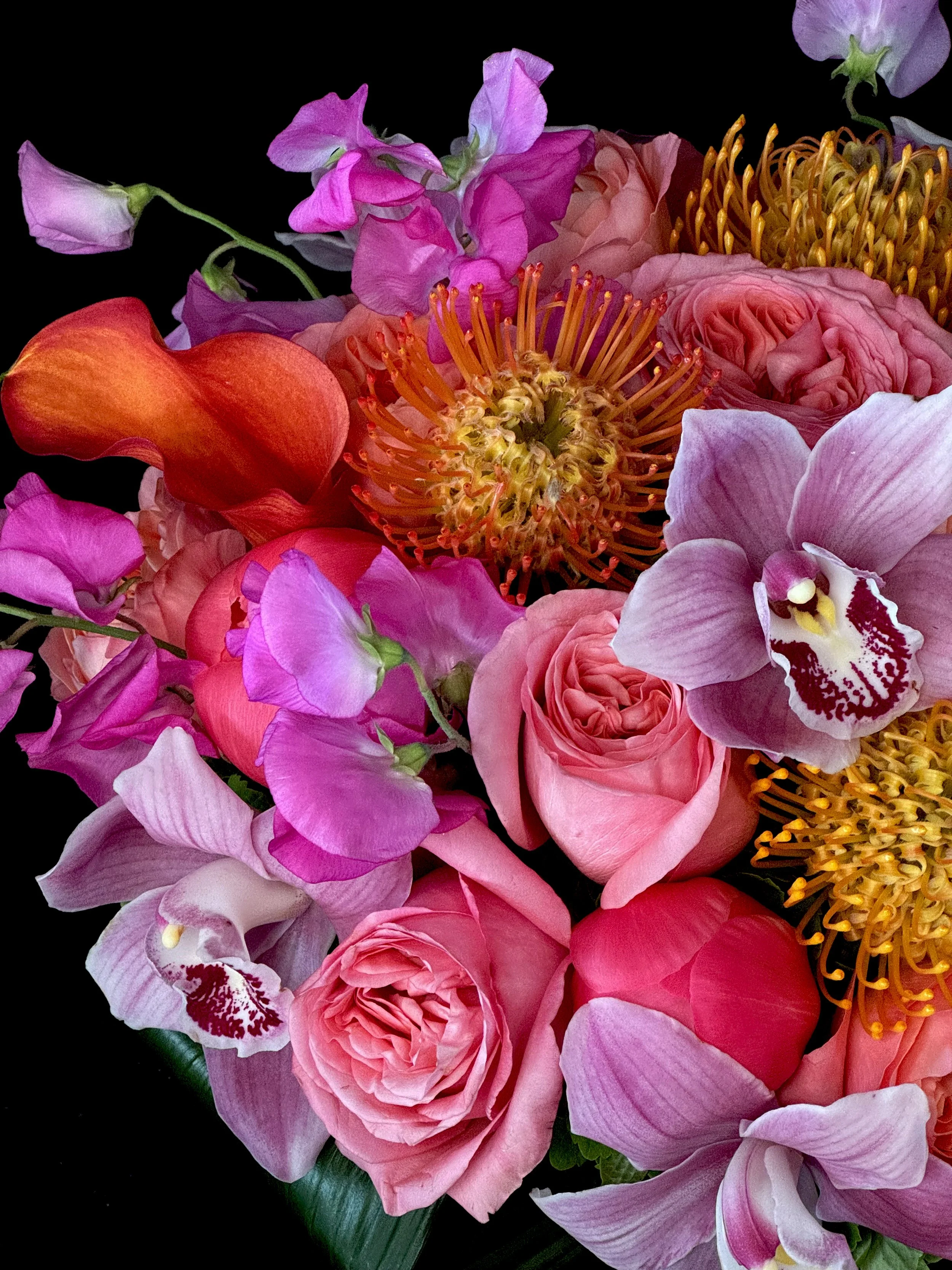 CORAL SPRITZ