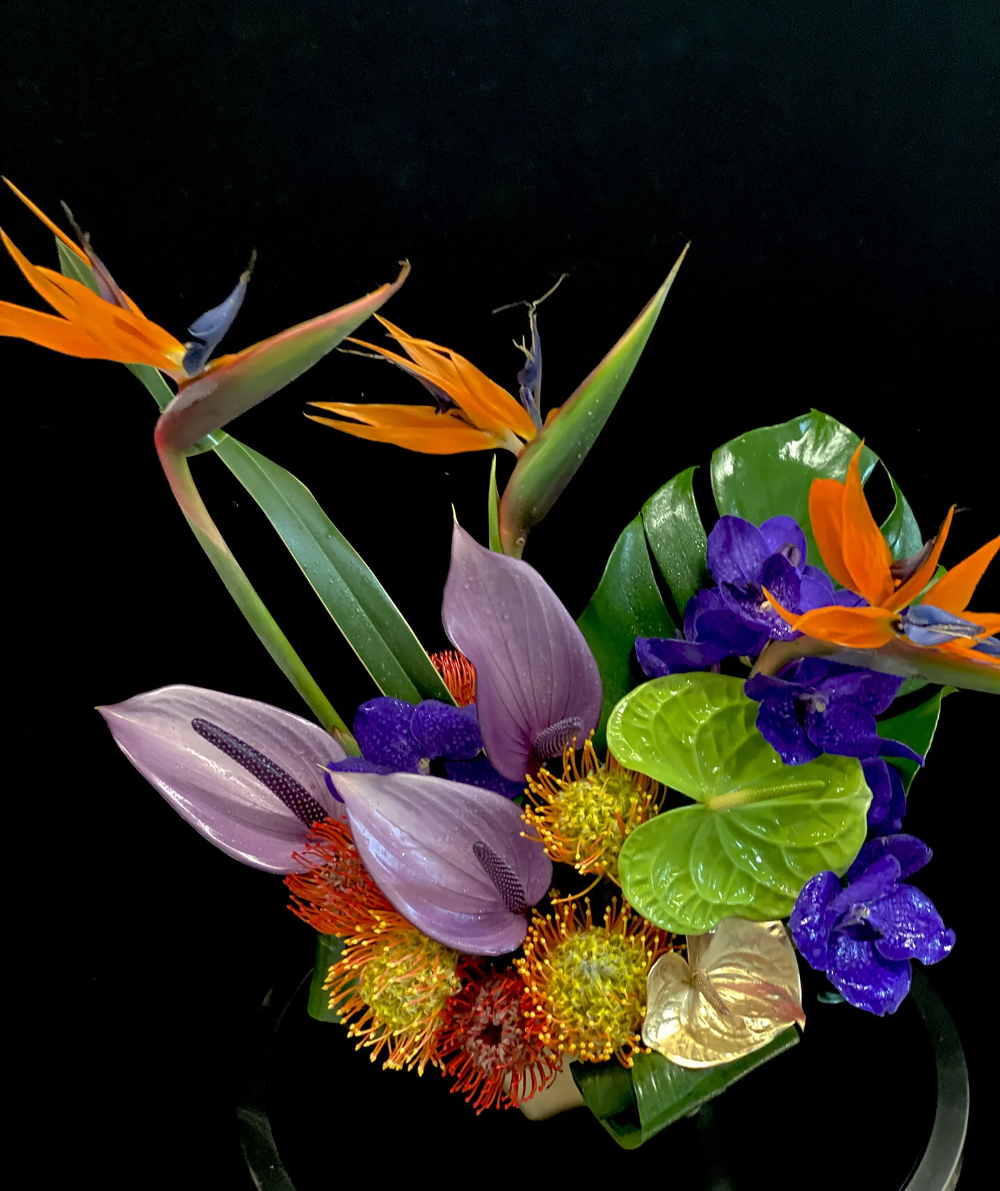 Beautiful Flowers and Floral Arrangements | Arugula Tango Florist