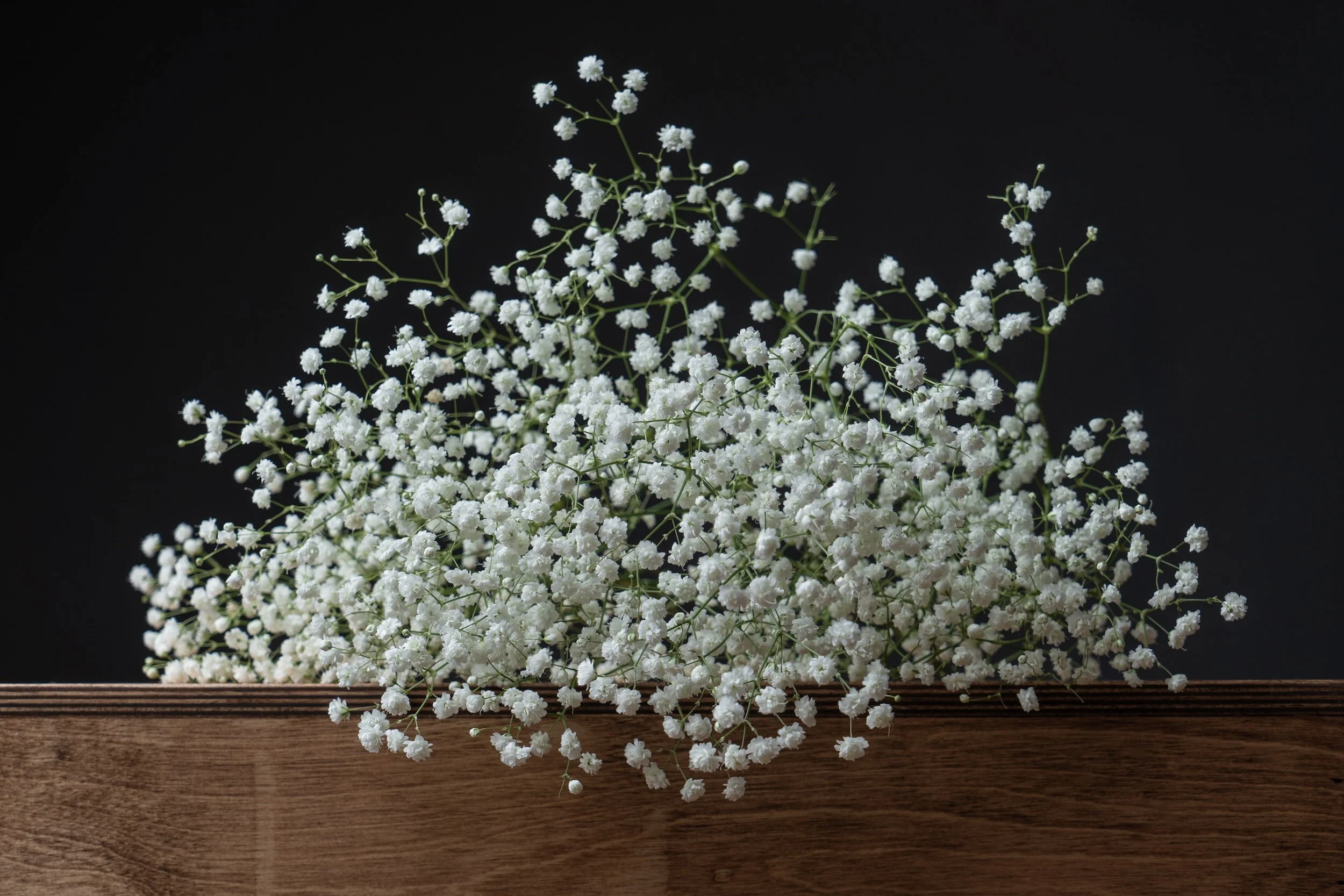 Baby's Breath Flowers: Delicate Beauty and Symbolism