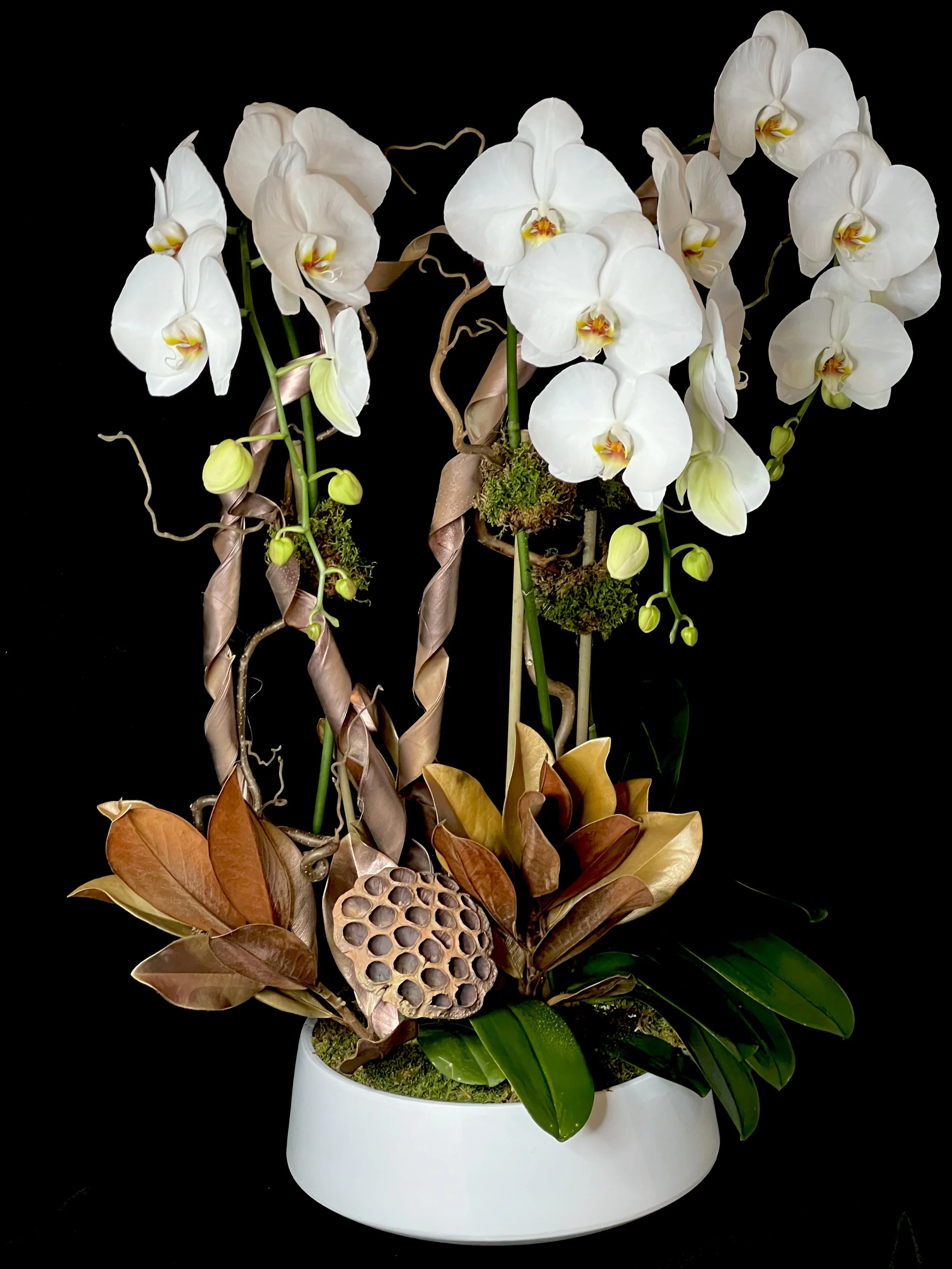 TRIPLE STEM DECORATED ORCHID