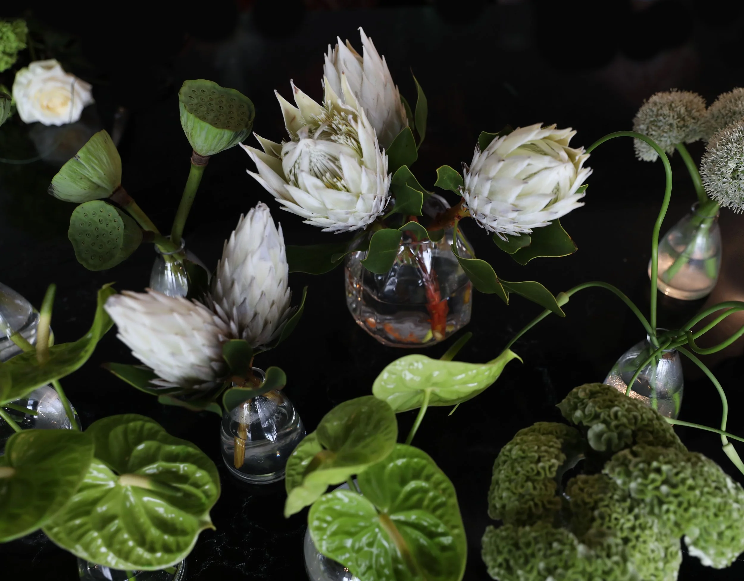 Unboxing Dutch flowers with  Arugula Tango Florist in Norwalk, CT