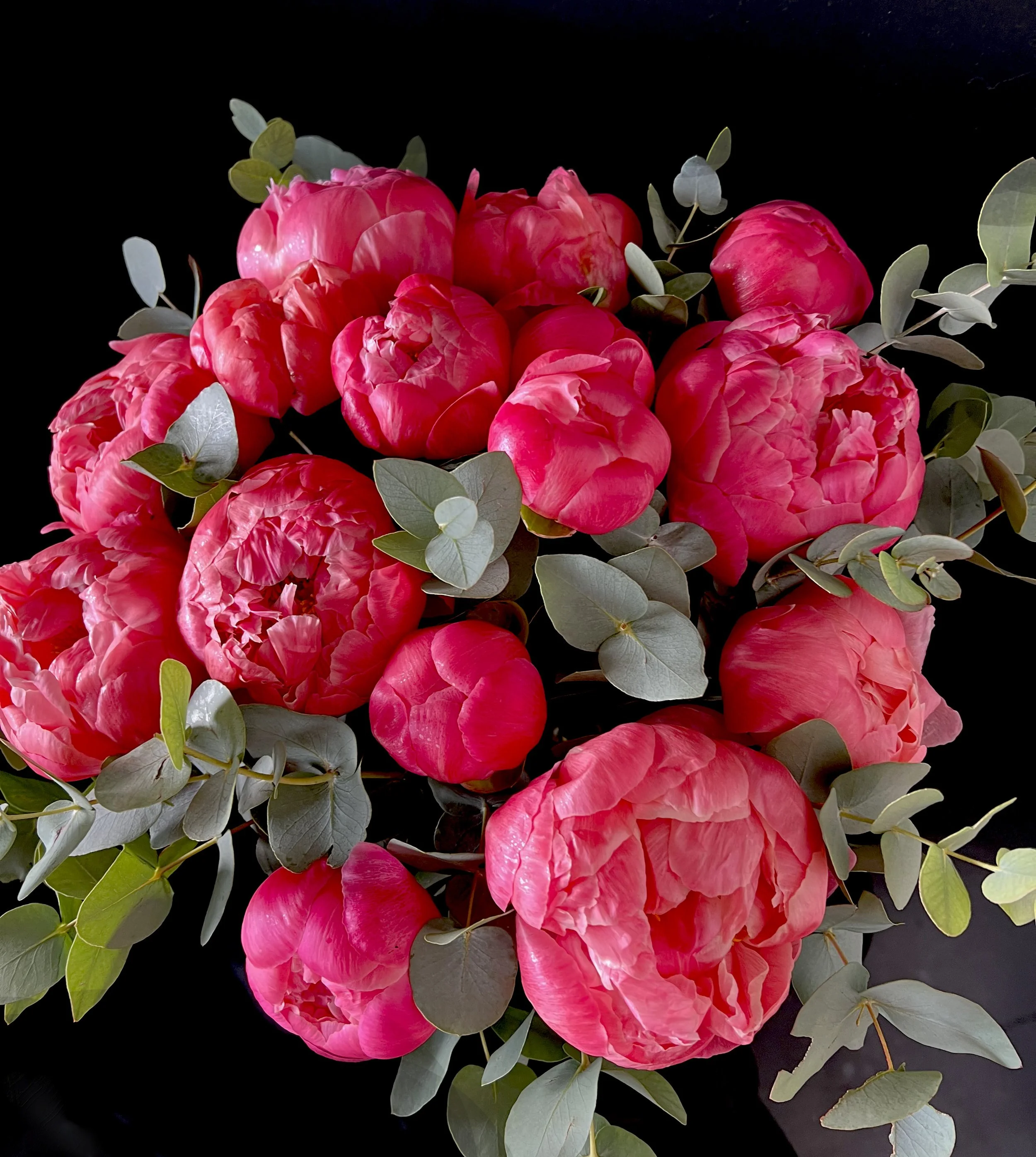 MOM'S FAVORITE PEONIES