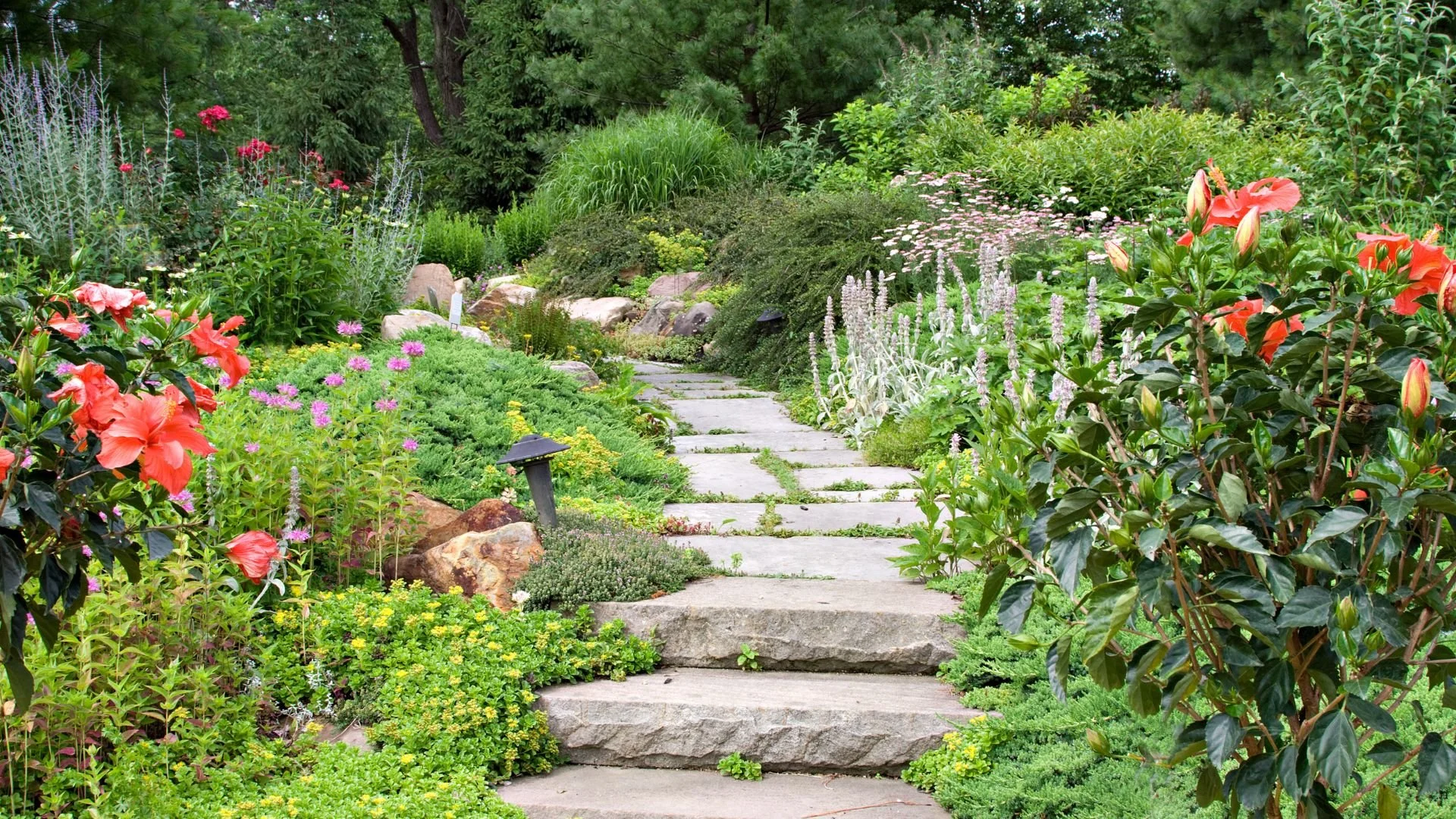 How to Create a Flower Garden in Connecticut’s Climate: Best Plants for Your Yard