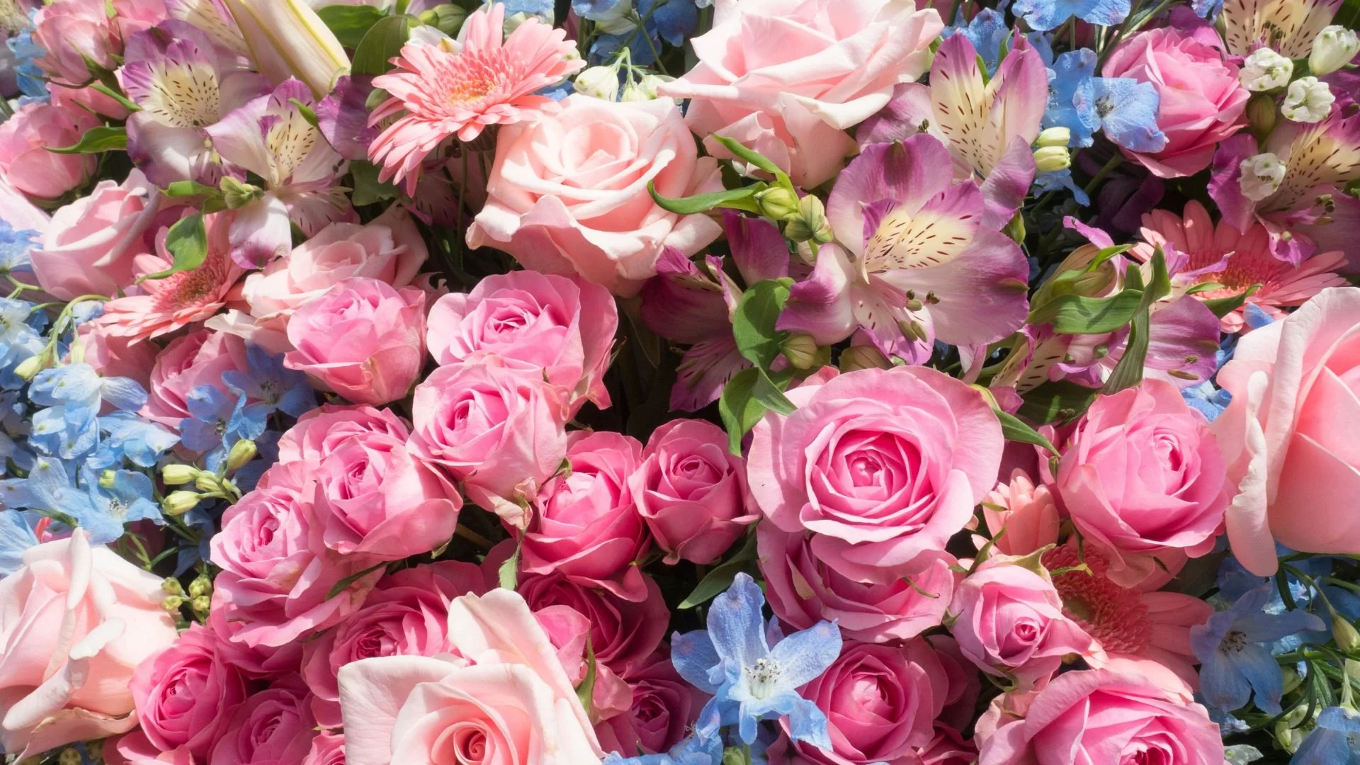 How Flowers Are Becoming Part of Self-Care Culture in 2026