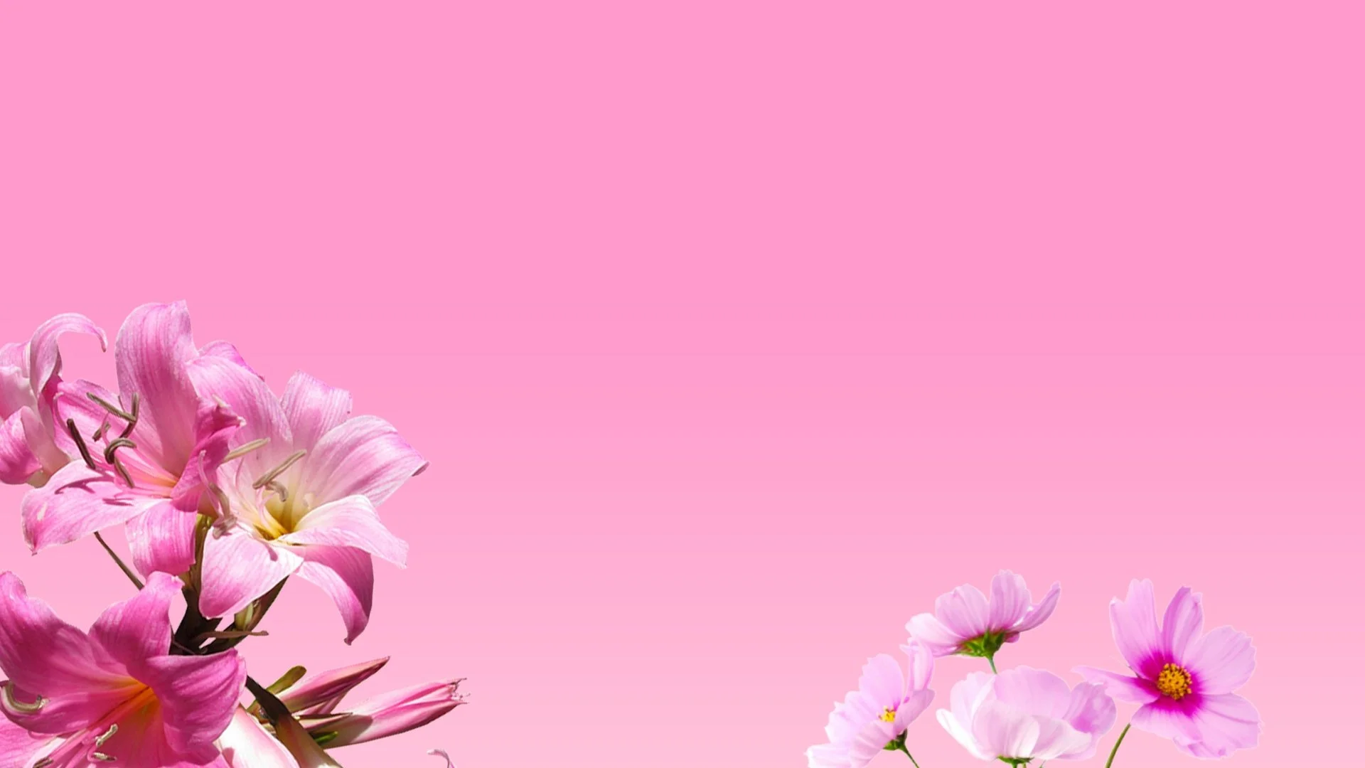 Spring Awakening: Early March Flowers Available in Connecticut &amp; New York