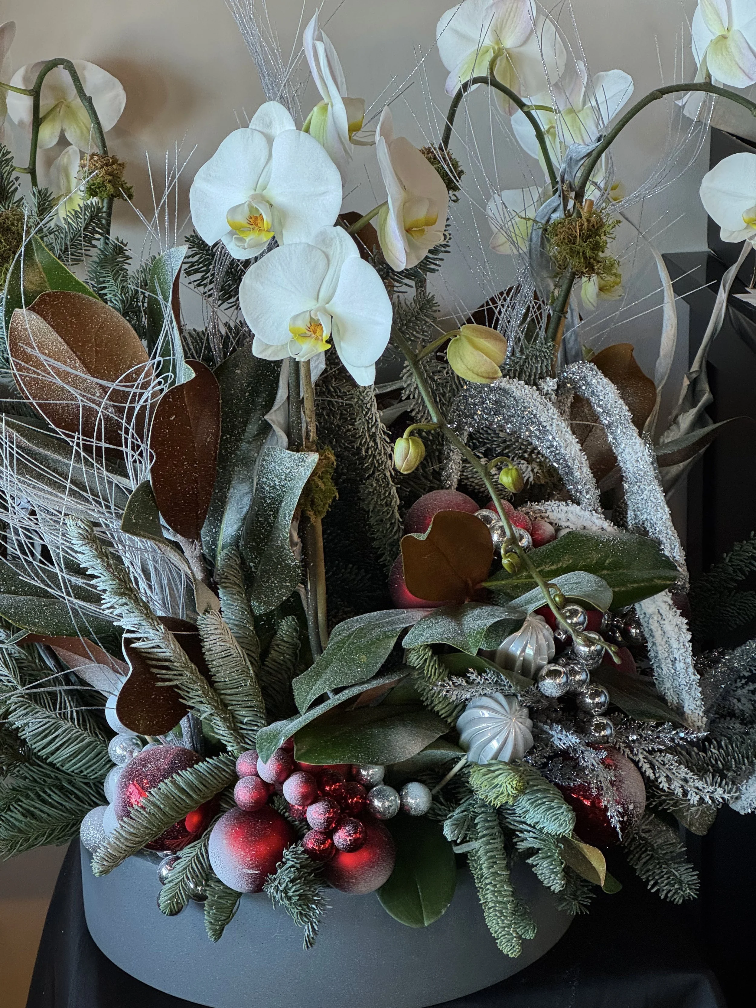 IMG_7921.jpeg (Copy)