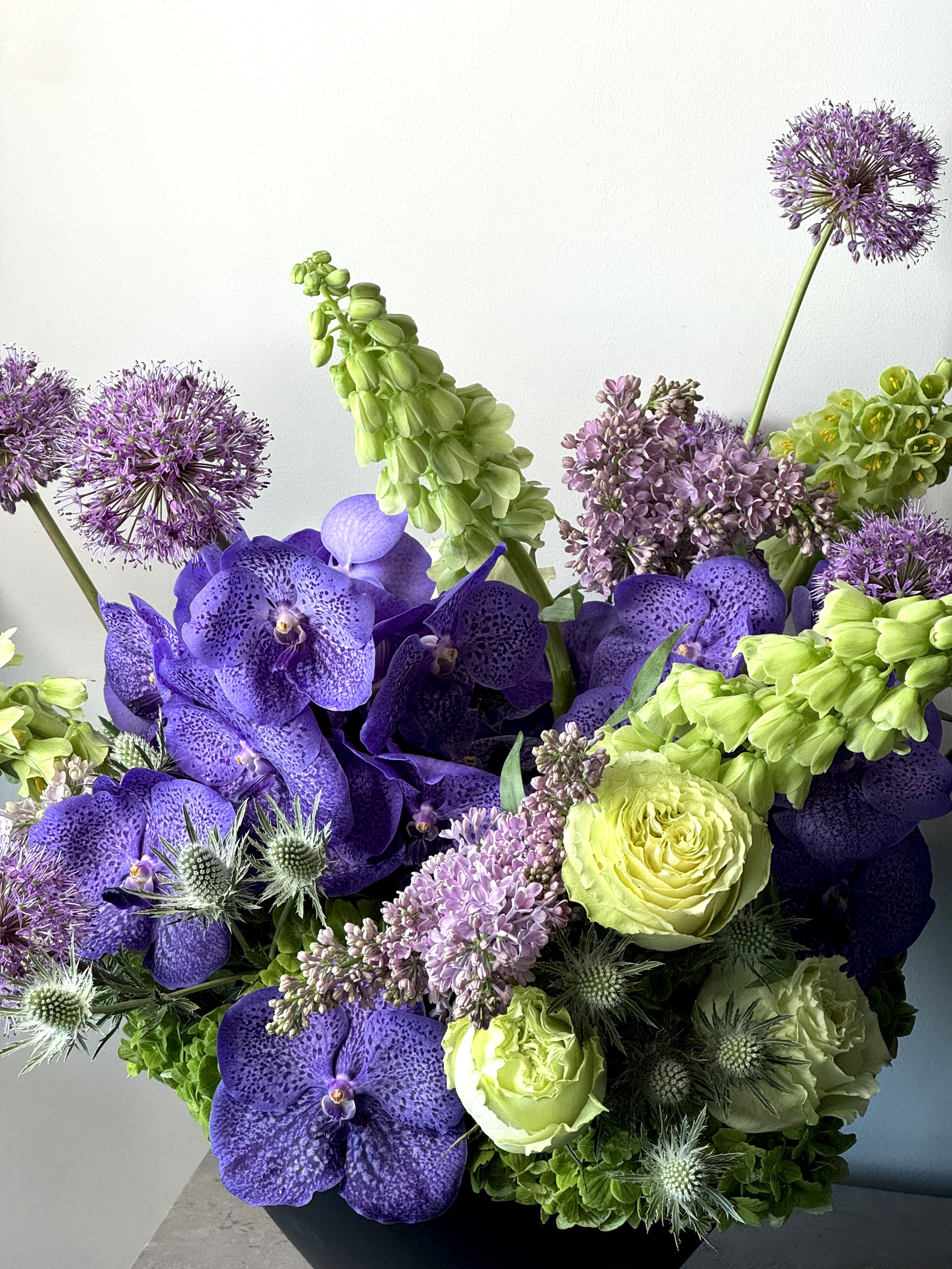 PASSOVER DESIGNER'S CHOICE