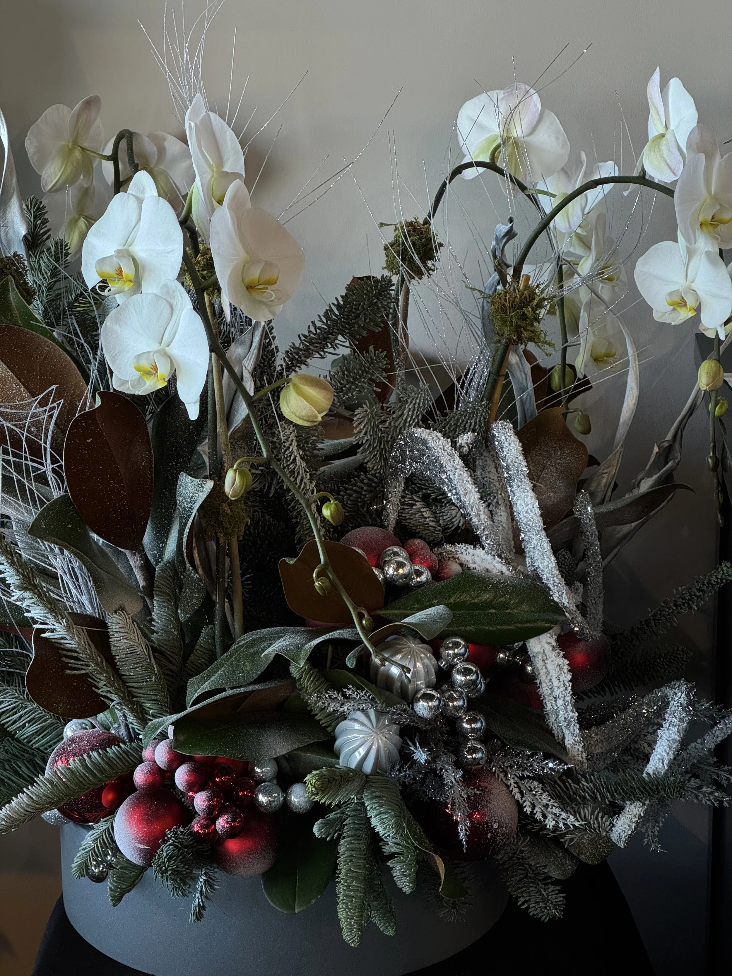 IMG_7922.jpeg (Copy)