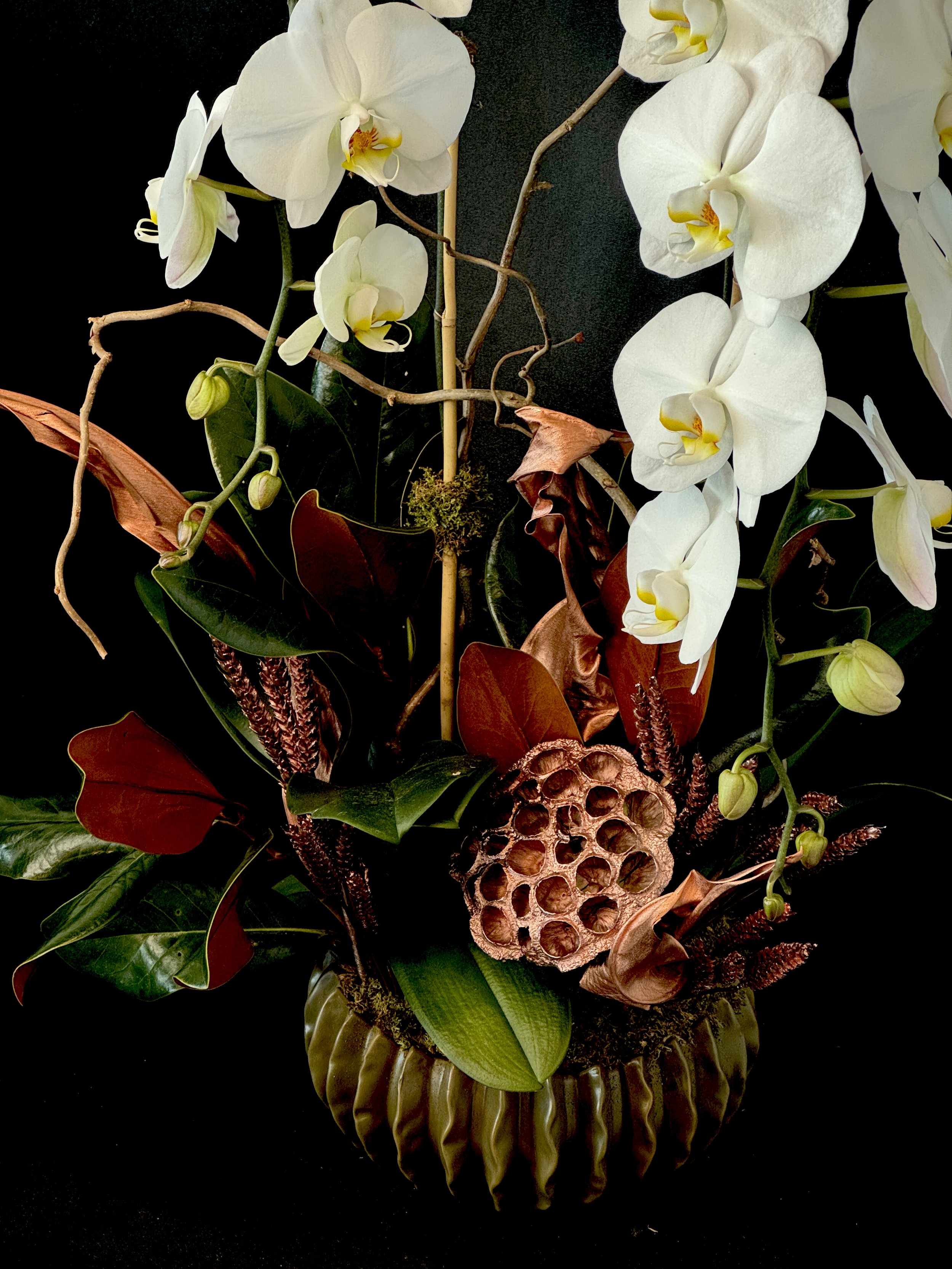 IMG_7369 (1).jpeg (Copy)