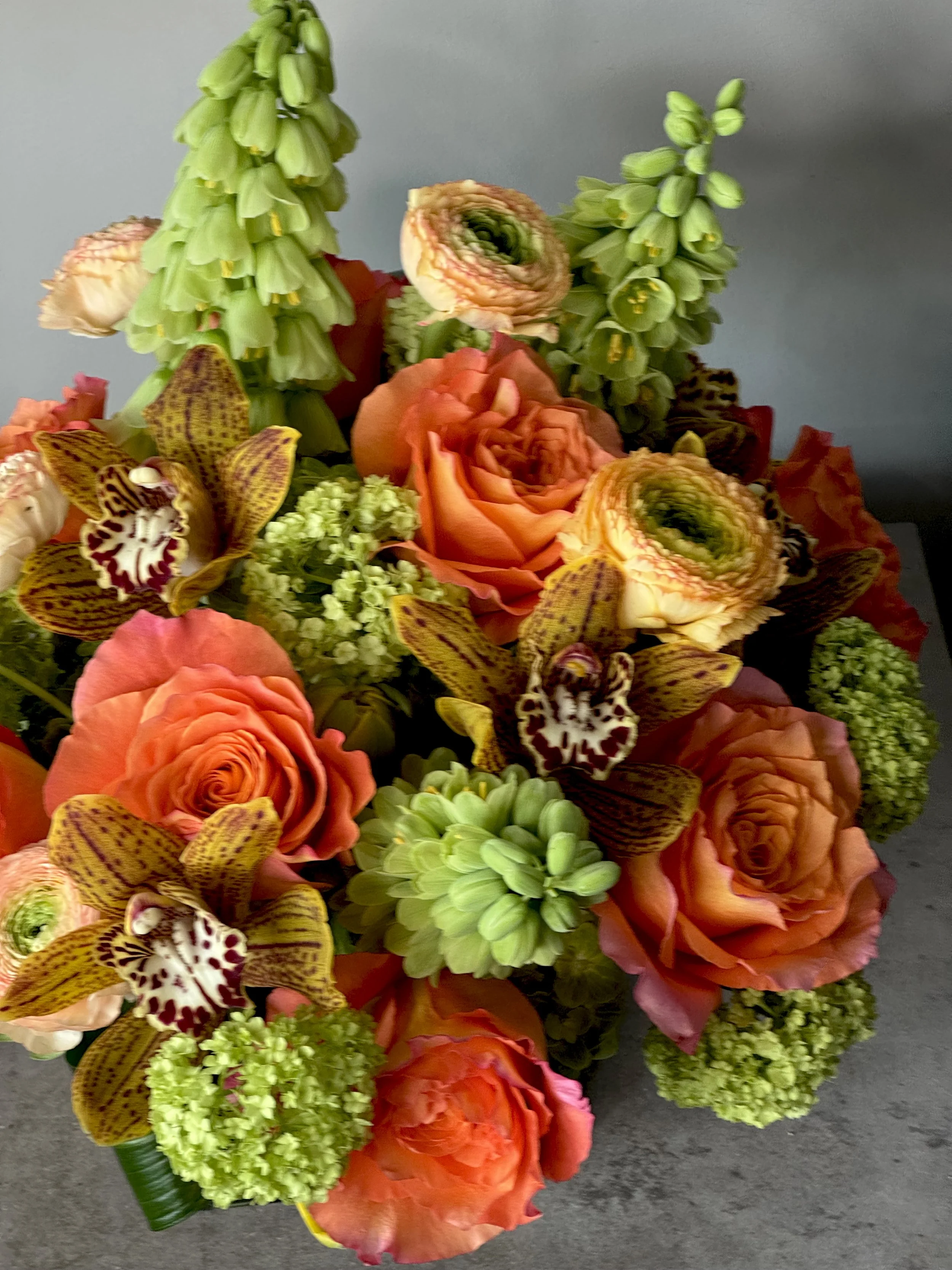 How Seasonal Transitions Influence Flower Choices in Norwalk, CT