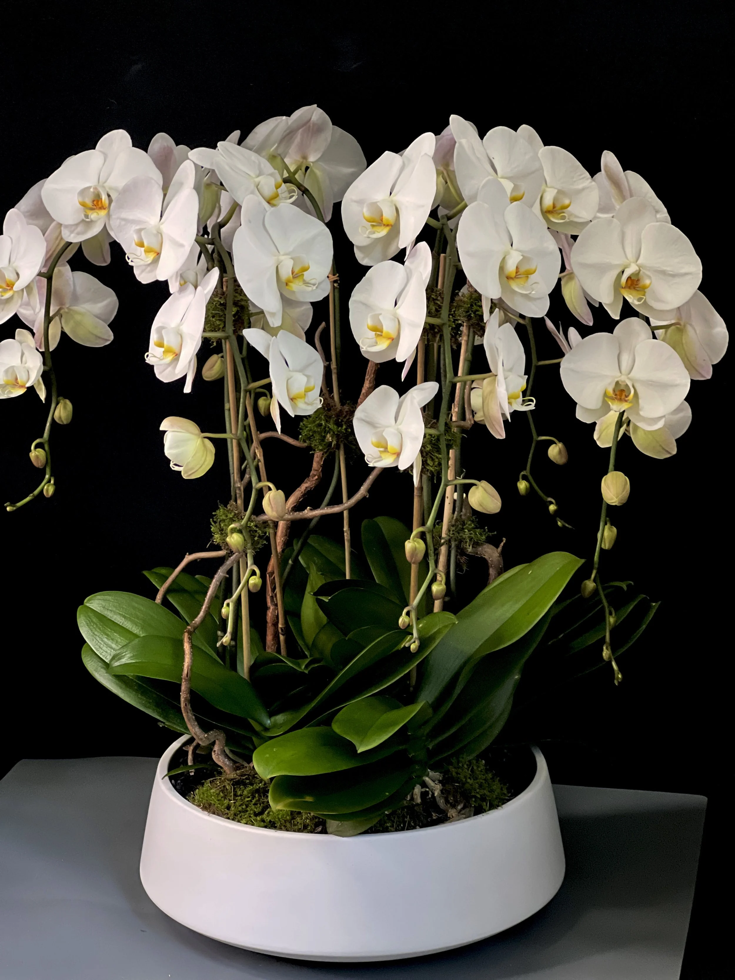 ArugulaTango_UniqueFloralArrangements_FlowerDeliveryStamford-710.jpeg