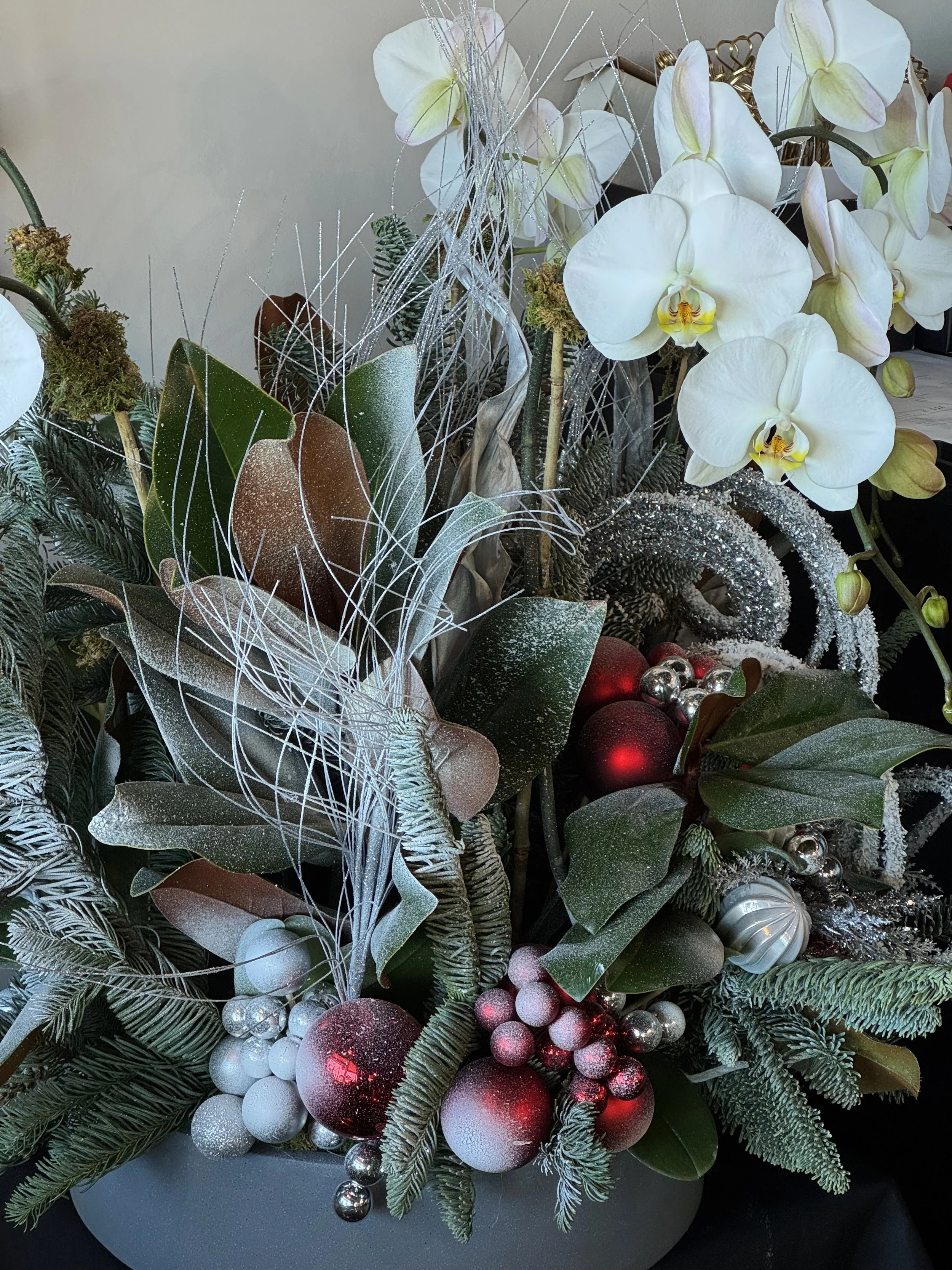 FIVE STEM HOLIDAY ORCHID