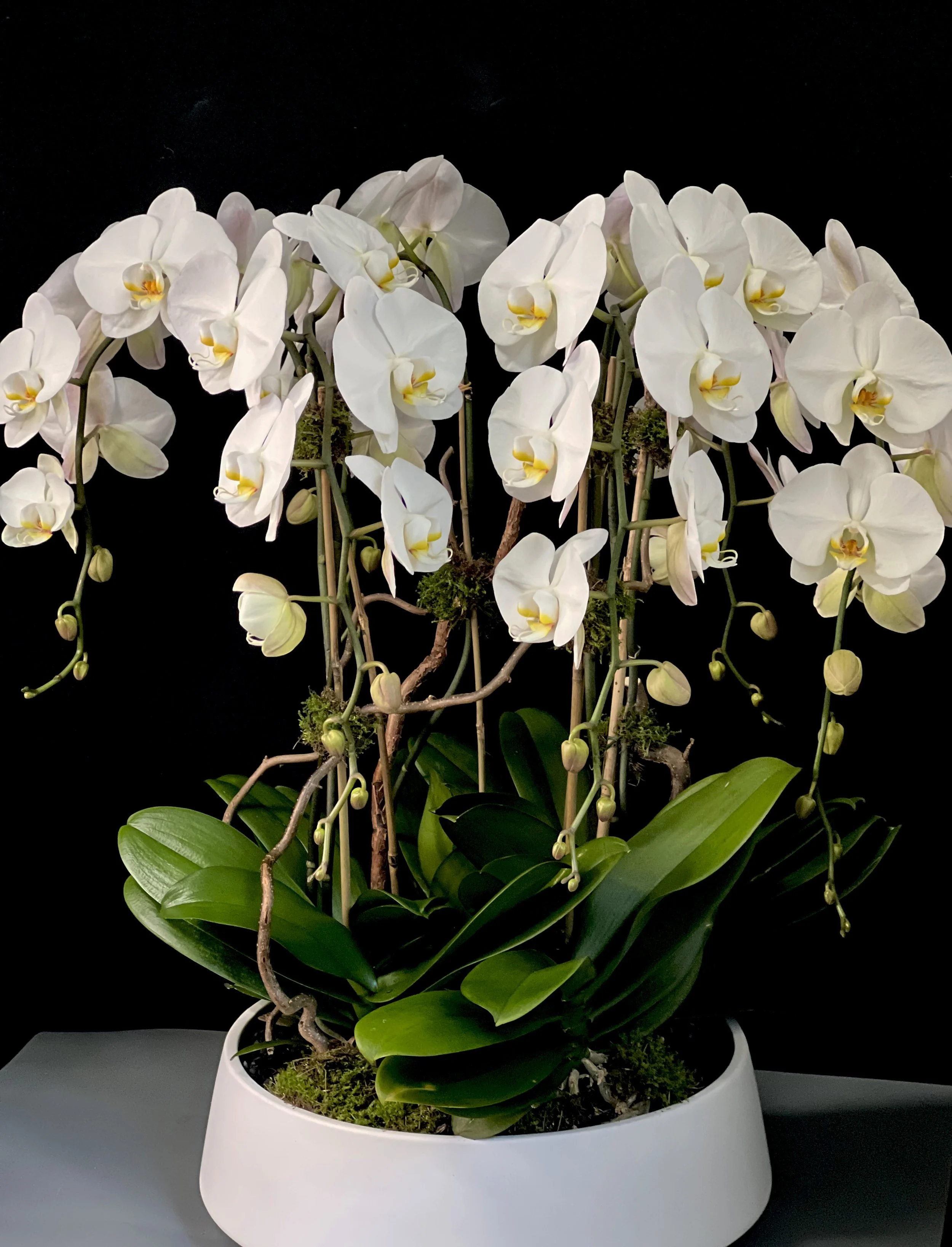 ArugulaTango_UniqueFloralArrangements_FlowerDeliveryStamford-711.jpeg