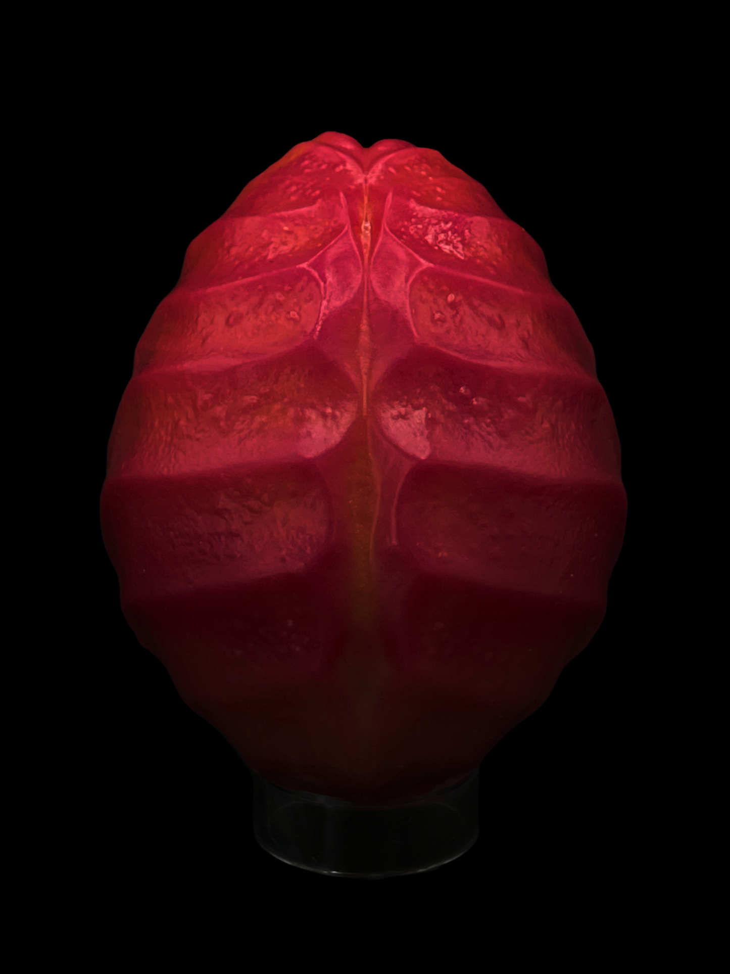 IMG_7537.png