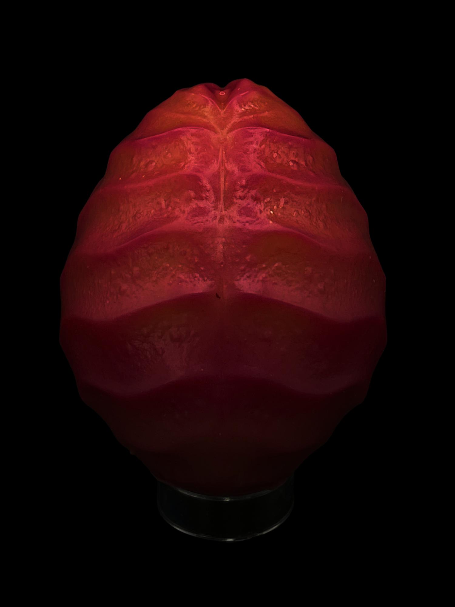 IMG_7538.png