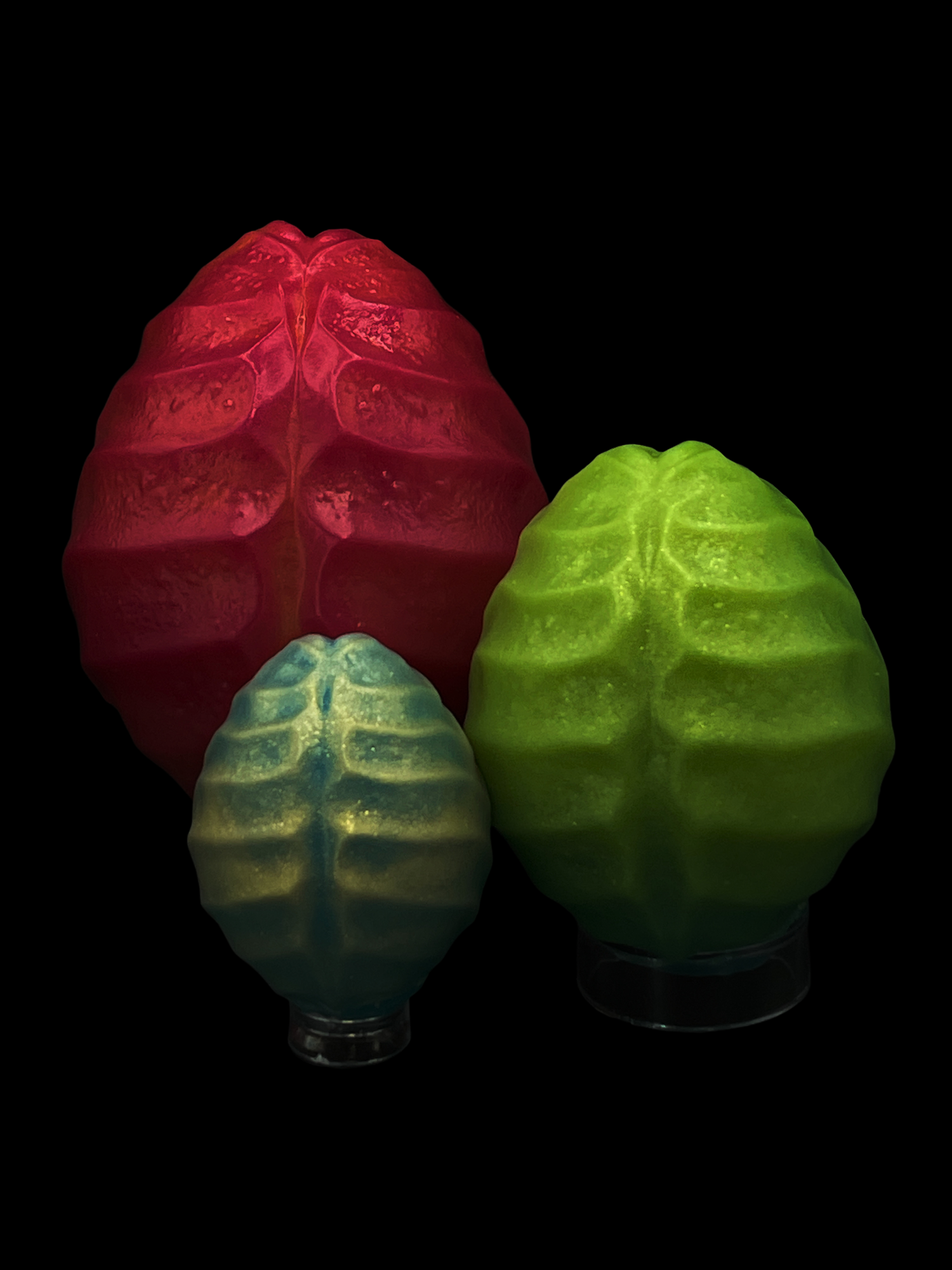 IMG_7536 (1).png