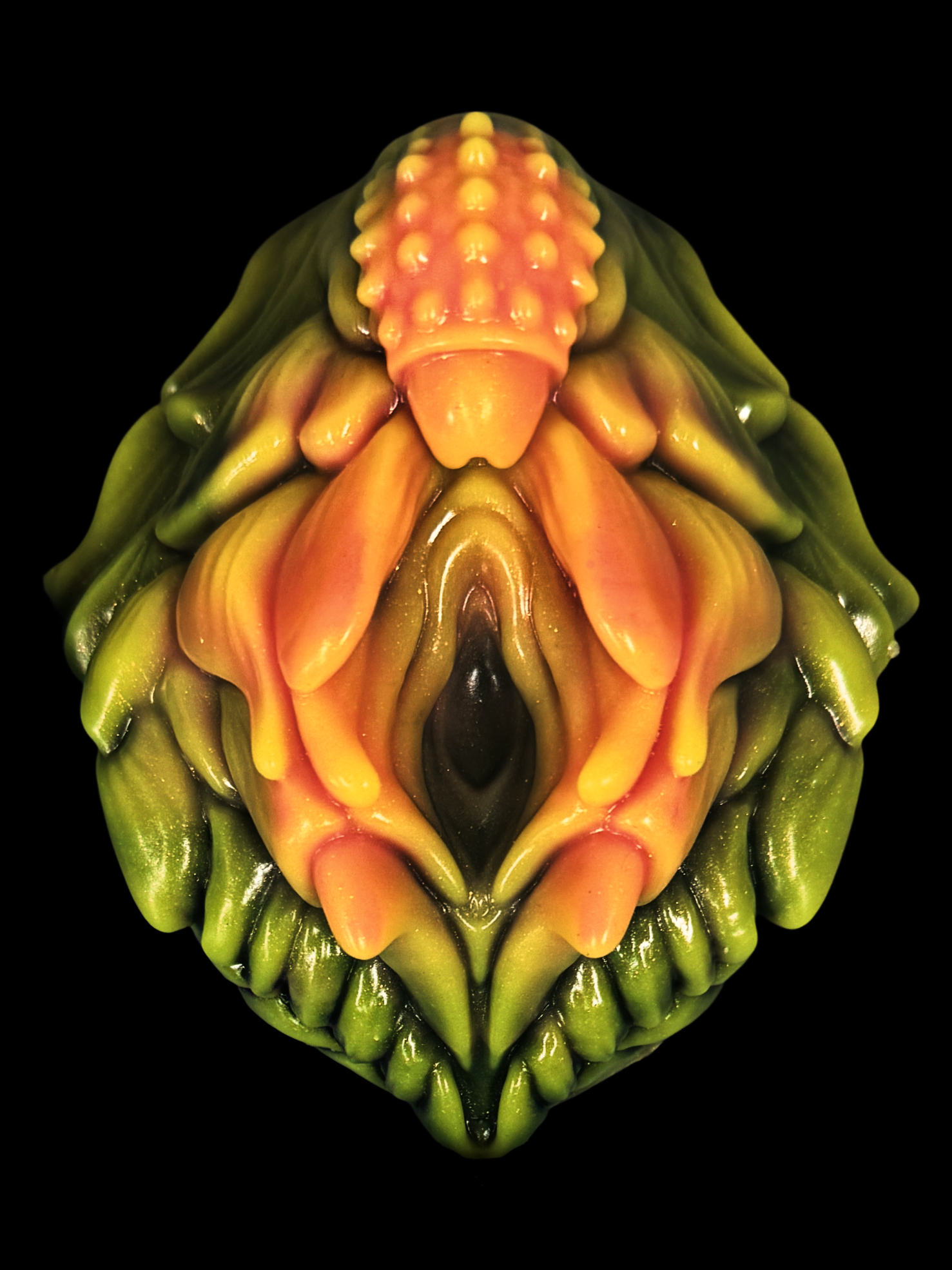 Dionaea Web Photo.png