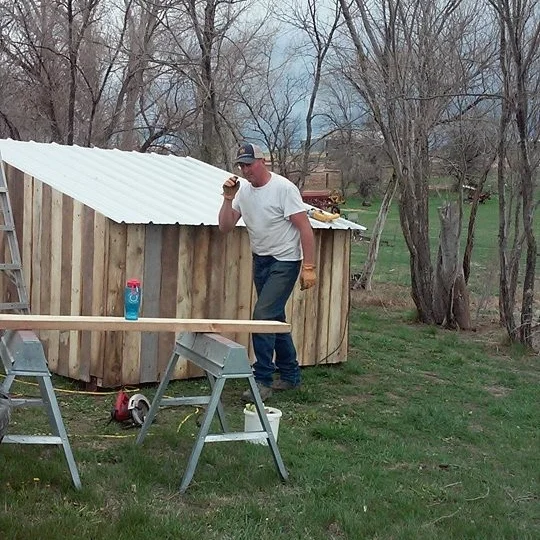 2015-04-25 Building Calf Shed.jpg