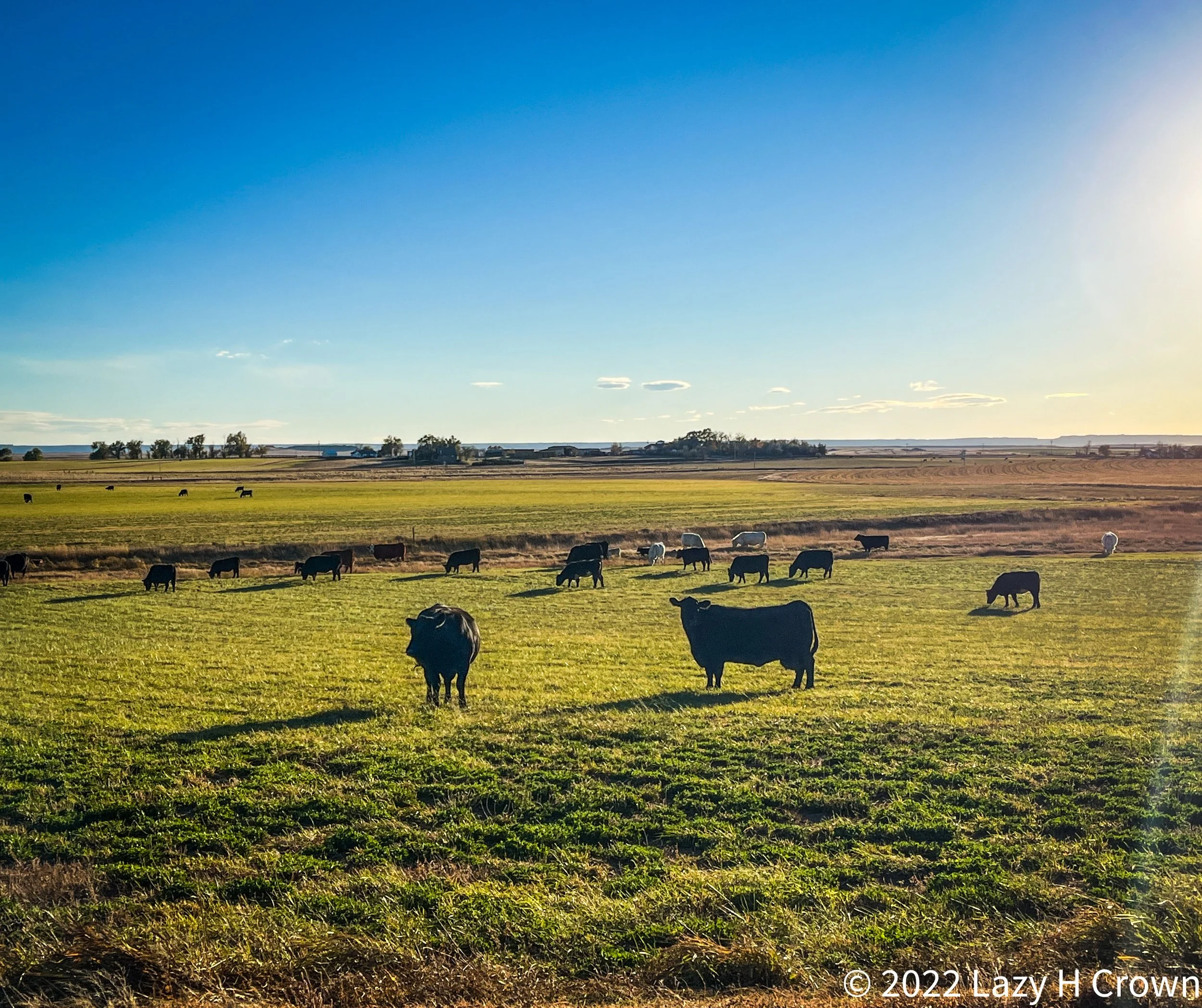 77A52393-1A3A-4AFC-815D-788A05F97026 copy.jpg