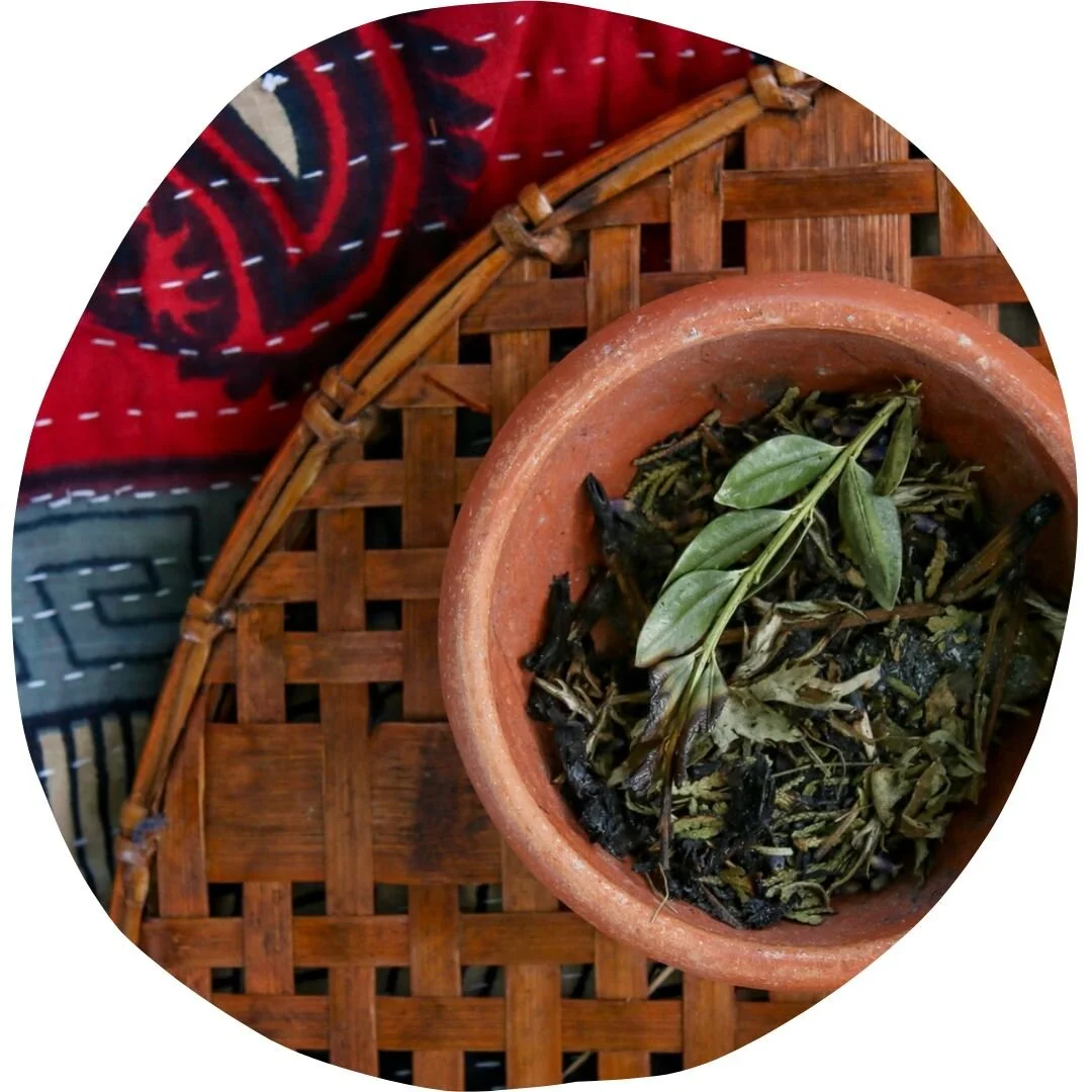 Untitled design-4.jpg