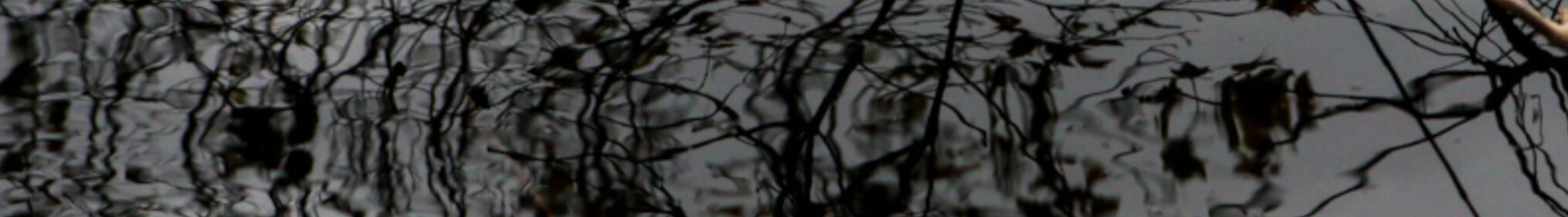 dark+water.jpg