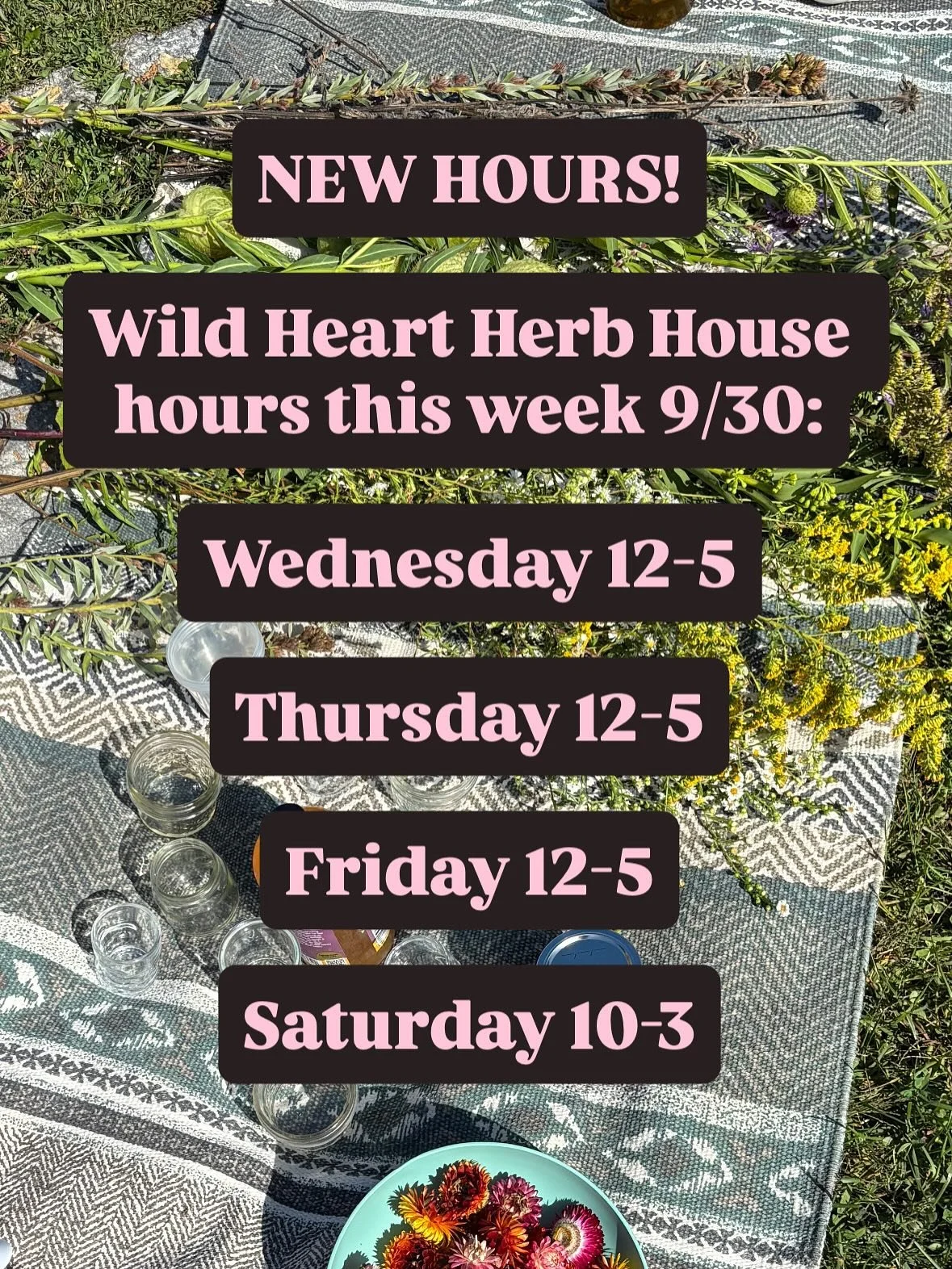 ✨NEW HOURS AT WILD HEART!✨

we are always shifting, growing, evolving, slithering from one season to the next, learning what works, and letting go of what doesn&rsquo;t.

so with that in mind, we are slightly shifting our schedule for the cooler mont