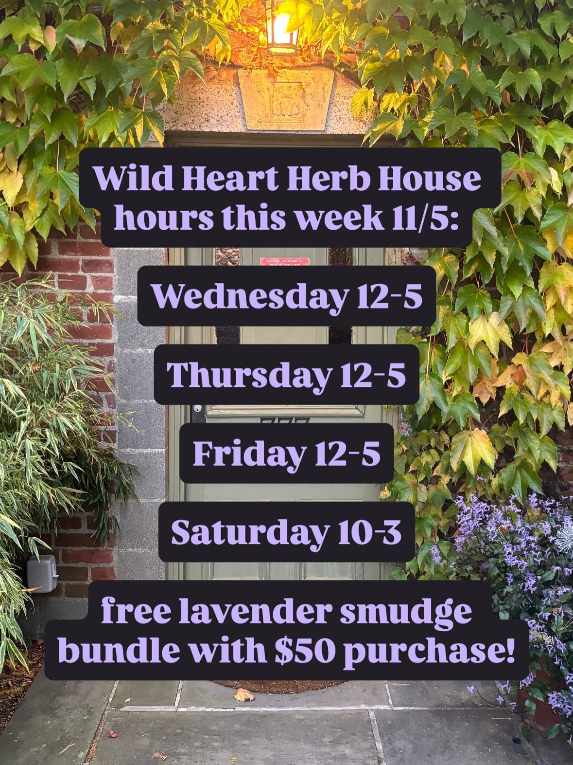 It&rsquo;s going to be another beautiful, magical, colorful week at Wild Heart Herb House! 

The foliage is gorgeous and bright and our shelves are fully stocked with all of the herbal remedies you need for your body, mind, emotions, and spirit! 

ou
