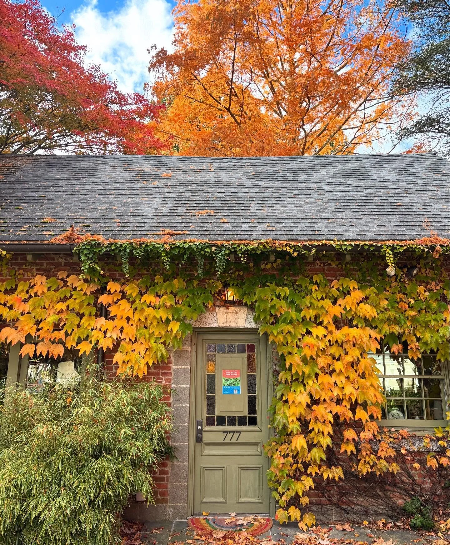 Every season is gorgeous at @wild.heart.herb.house and @haskellgardens but there is something extra enchanting and magical about the fall!

i&rsquo;ve been mesmerized all week watching the leaves change color and it&rsquo;s been an absolute explosion