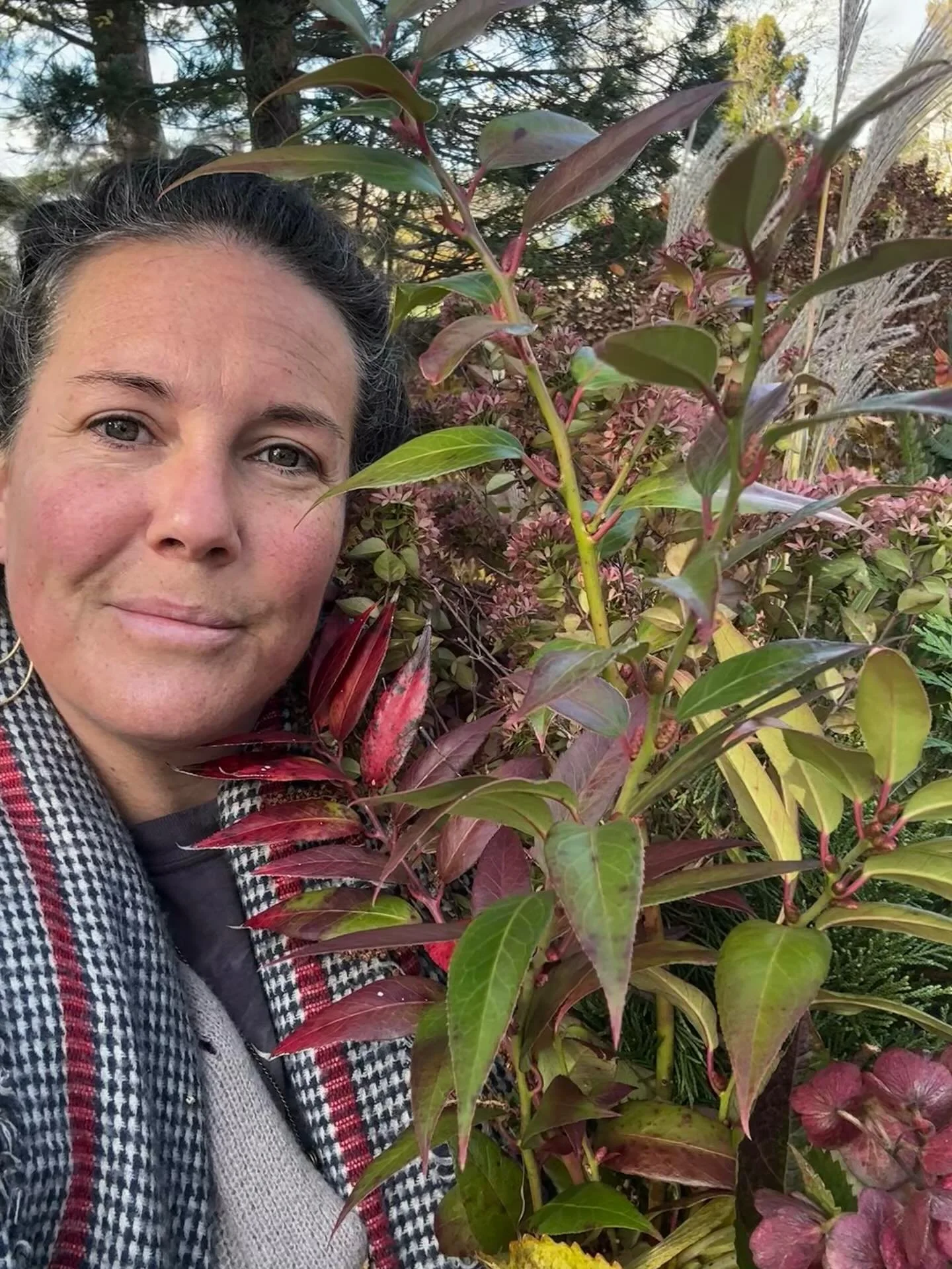 My gathering of plants from the gardens to make a bouquet from the shop was so bittersweet yesterday.

There were no multicolored Dahlia&lsquo;s, flowers springing up from every corner, an abundance of lush green choices. 

Instead I had to look clos