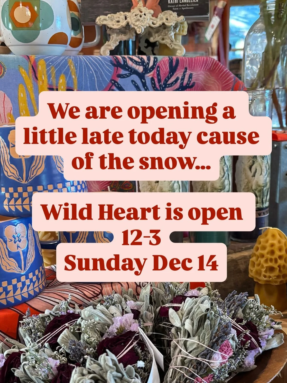 Slight shift in our hours today cause of the snow, open today 12-3! 

Come by for a cozy cup of herbal tea in a magical fairy house, seriously Wild Heart is even more enchanting in the snow!

#wildheartherbhouse #herbalapothecary #newbedfordma #newbe