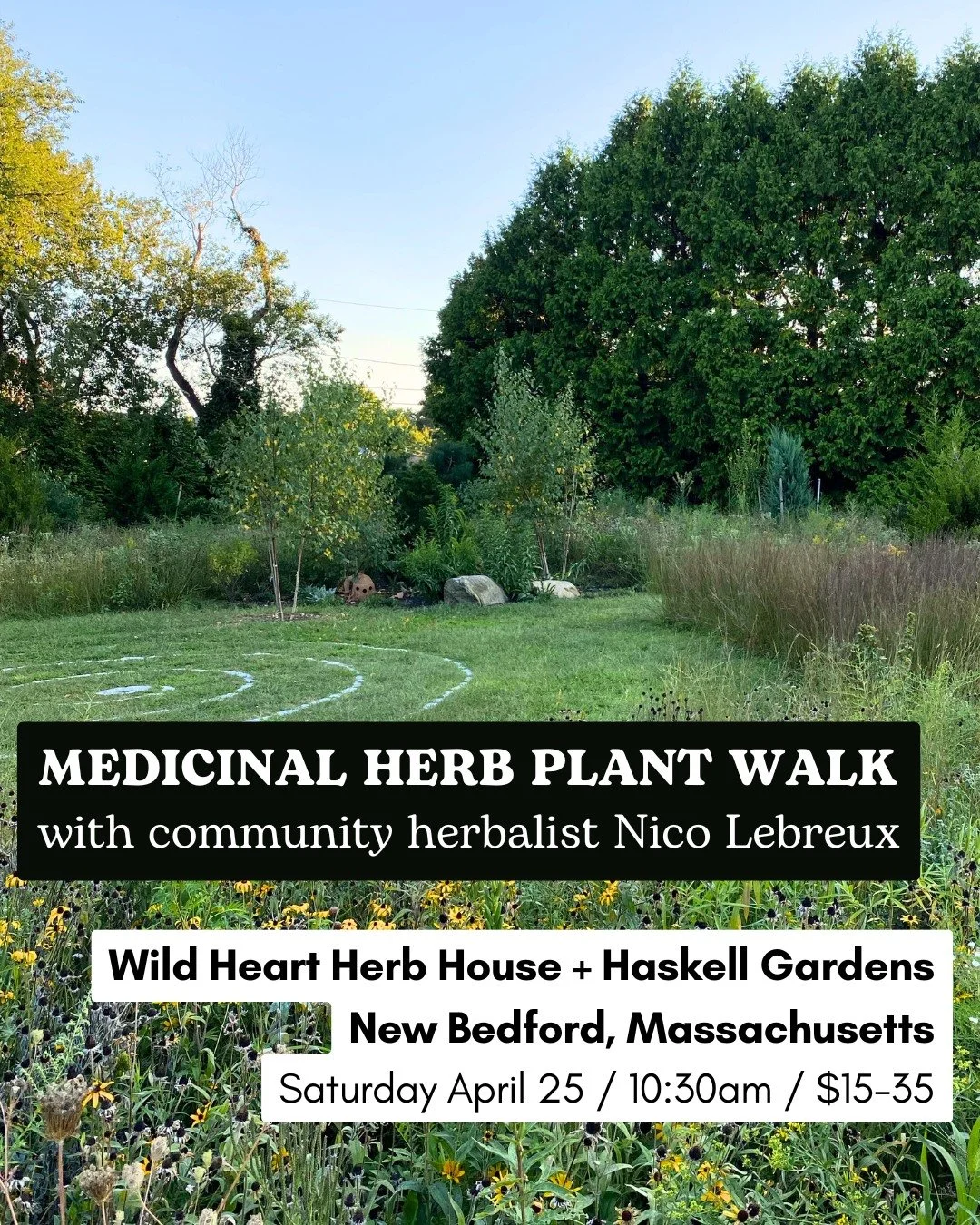 The first time I attended a local plant walk it completely changed my life.

Many years ago I was invited by a local herbalist @earthen.body.midwife to explore a friend&rsquo;s farm to forage for herbs, gather some that interested us, and just be out