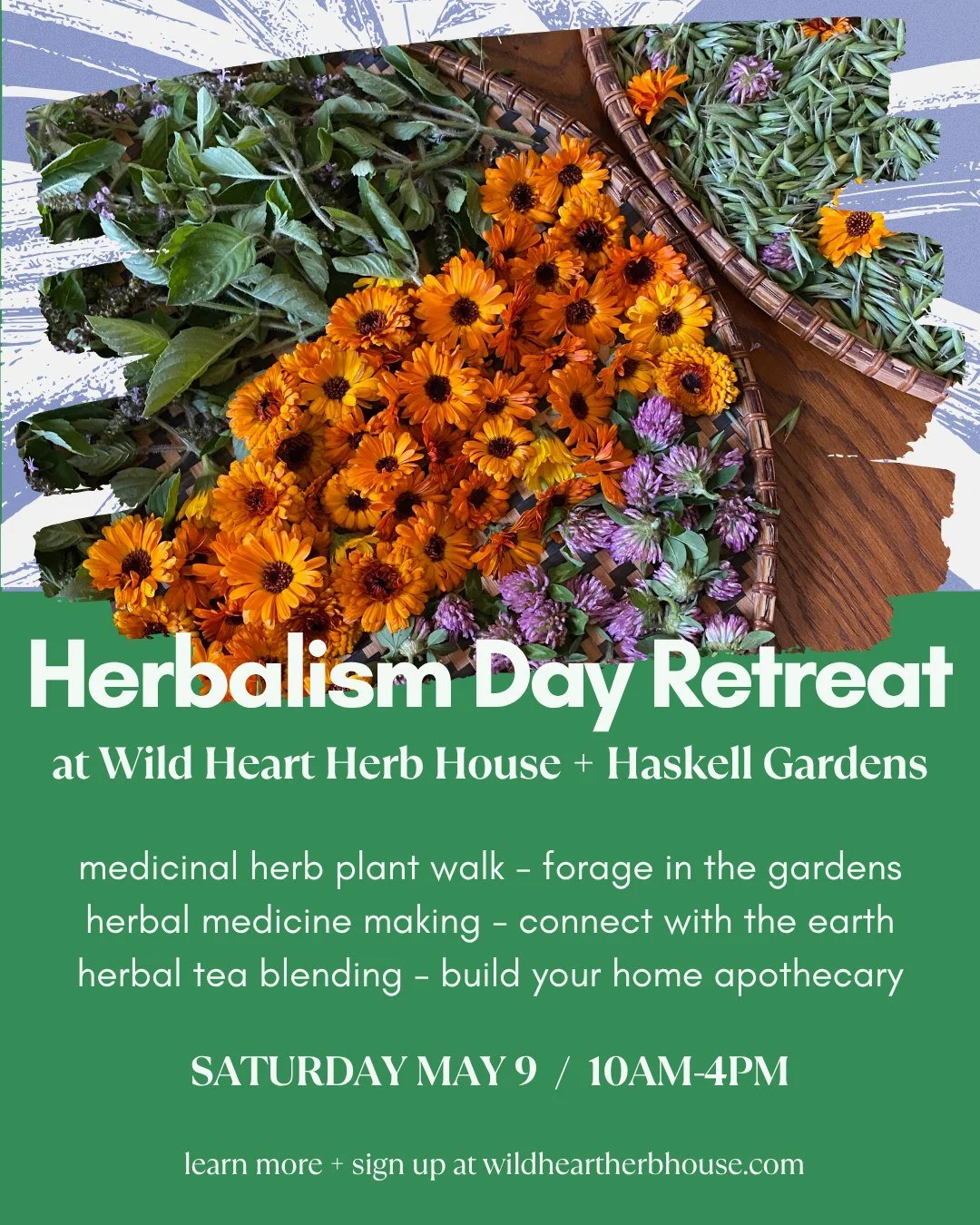 The most magical day of frolicking in the gardens awaits you&hellip;

Join us on May 9 for an Herbalism Day Retreat at Wild Heart Herb House and Haskell Gardens!

This is a full day of:

🌿 herbal medicine making

🌿 wild harvesting herbs from the ga