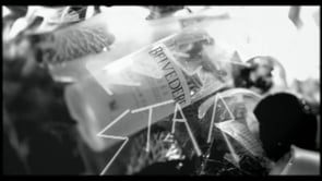 Belvedere • Rihanna Rock Star Dir. Melina