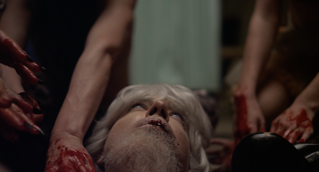 Screen Shot 2019-02-22 at 1.30.05 PM.png