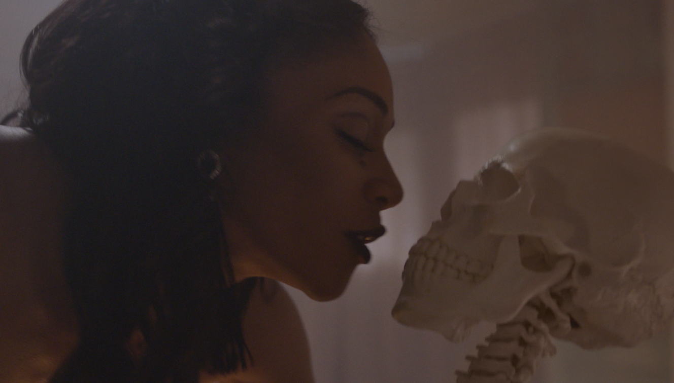 Screen Shot 2019-02-22 at 1.55.41 PM.png