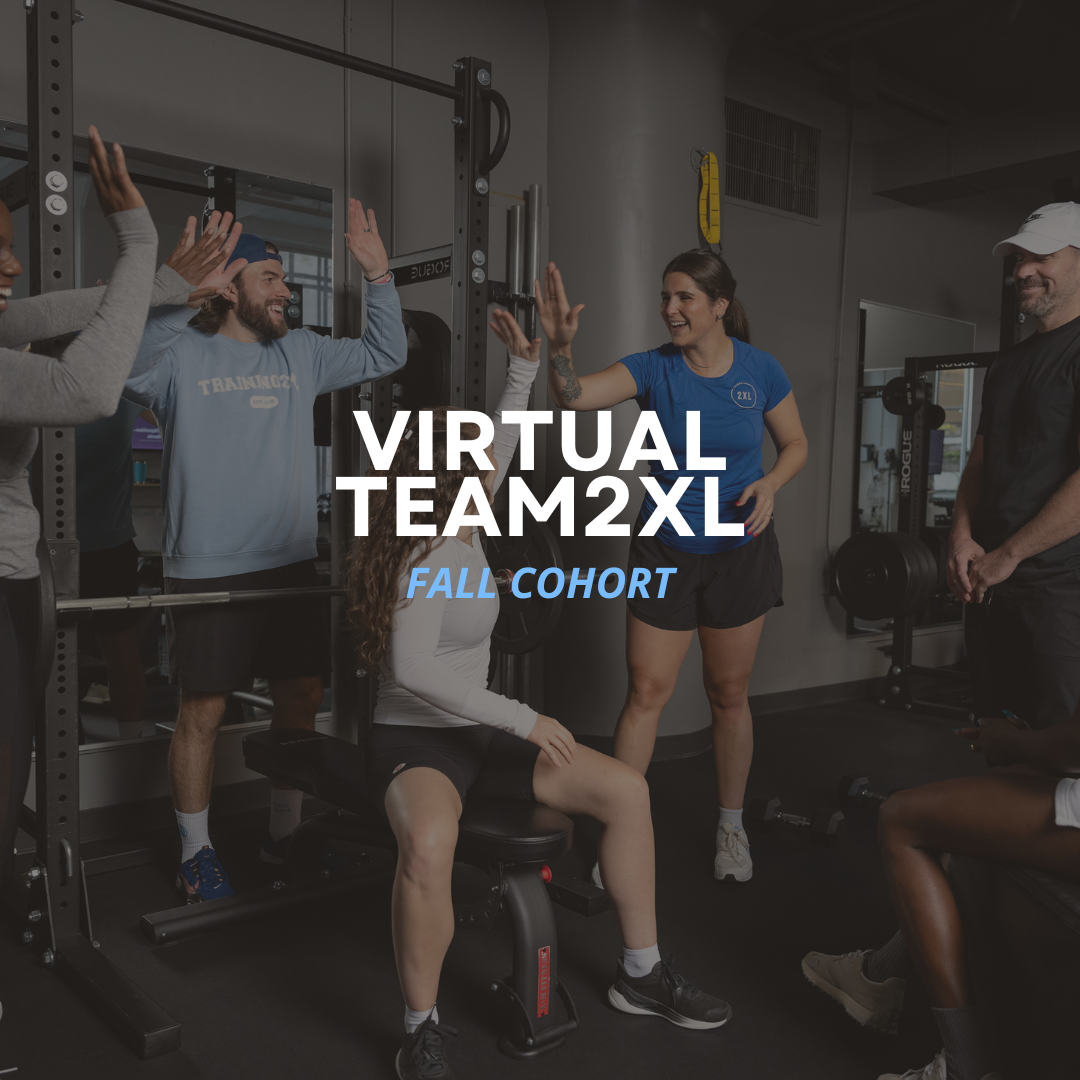 VIRTUAL TEAM2XL: FALL 2025