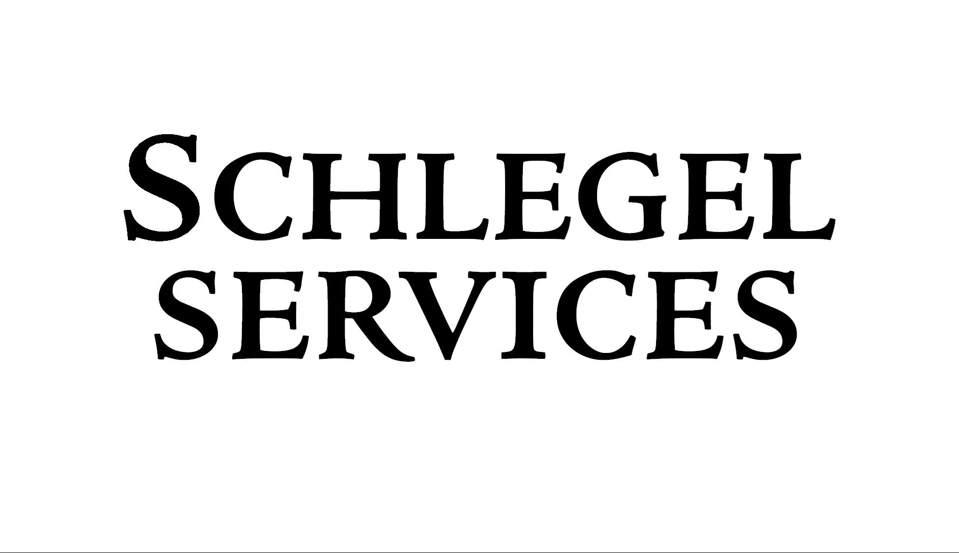SCHLEGEL weblogo.jpg
