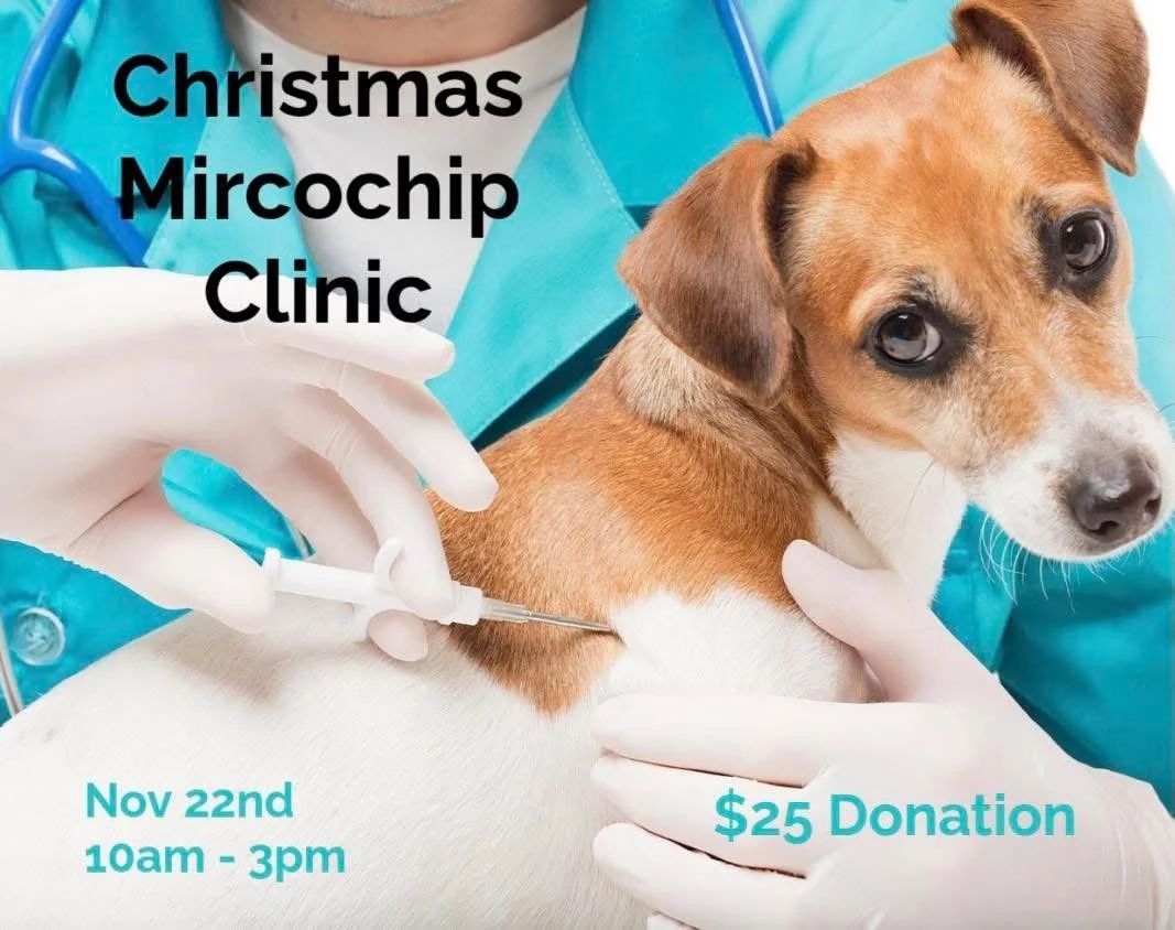Pet Microchip Clinic