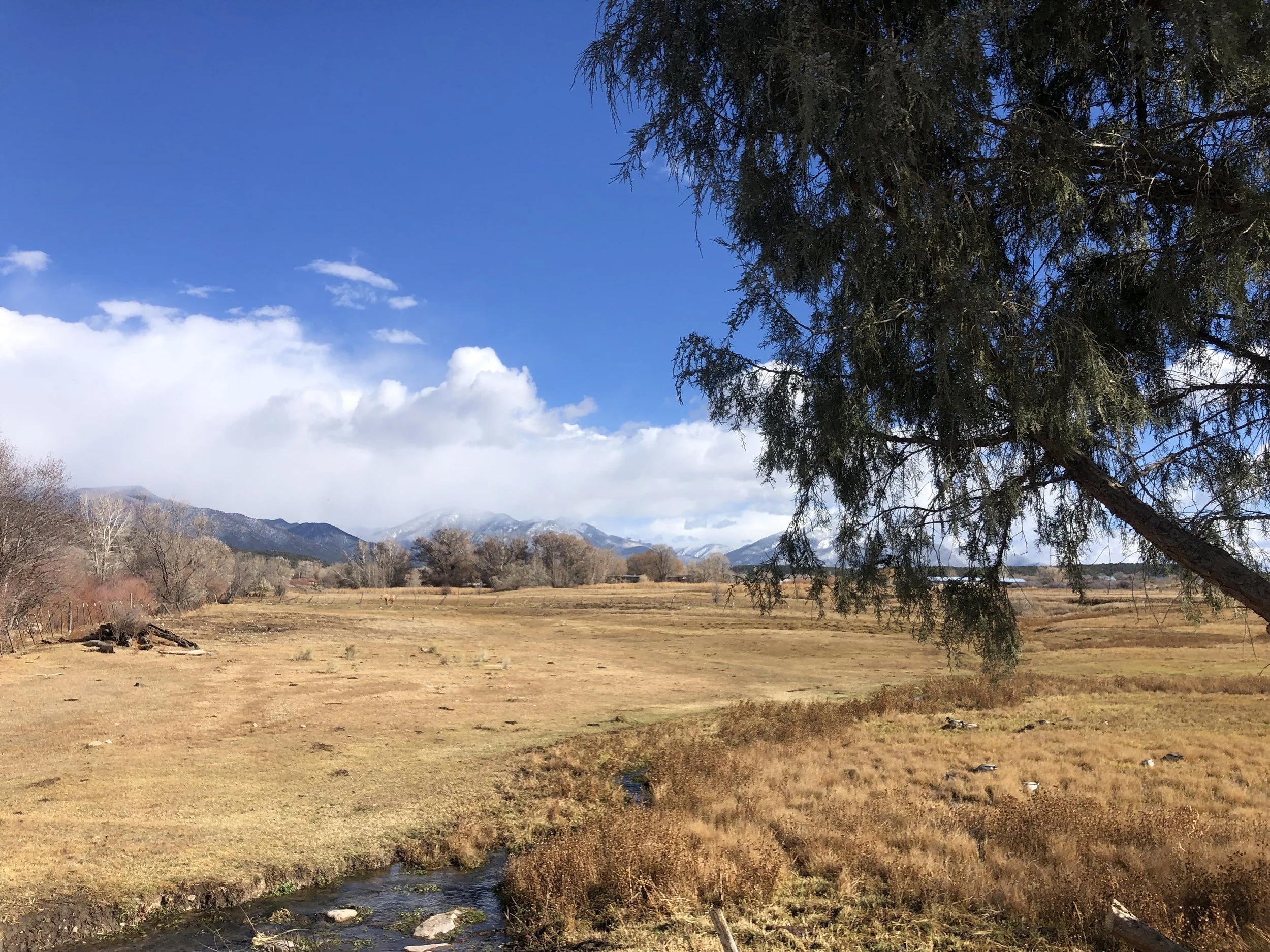 New Mexico.jpg