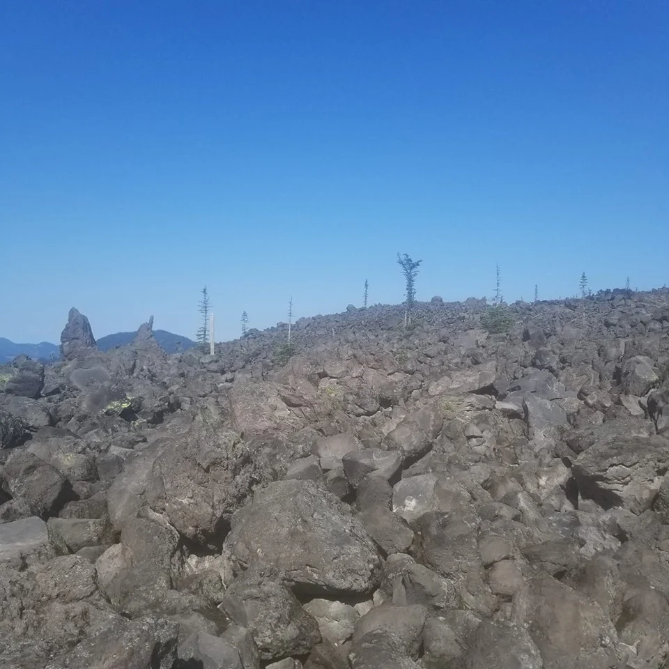 Lava Boulder Fields of Mt. St. Helen’s. Photo Credit: Wendy Foster