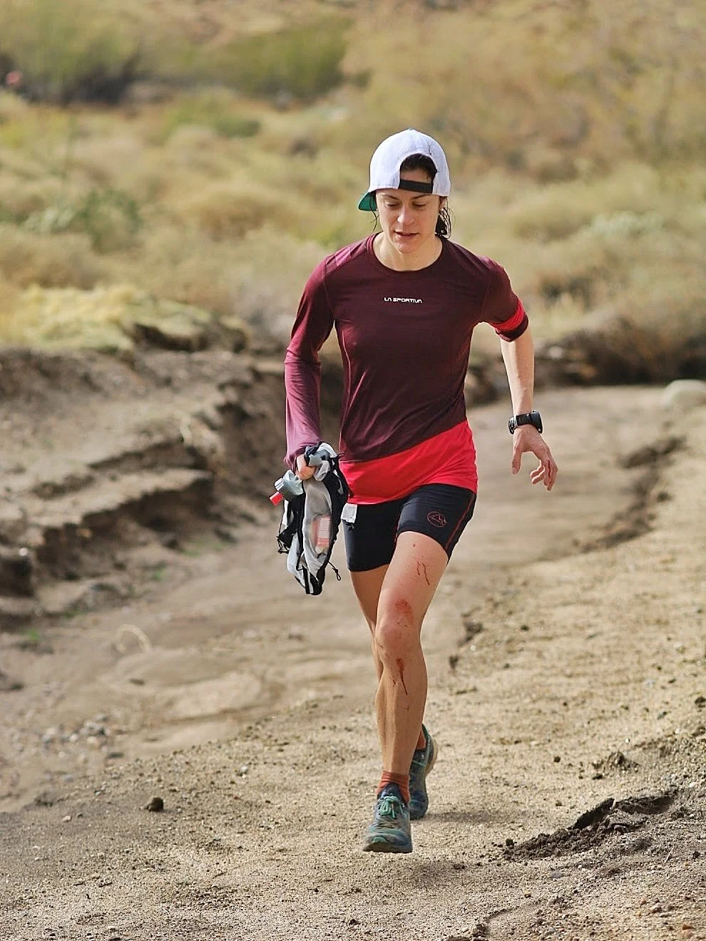 From the Mountains to the Desert: Anza Borrego Cuyamaca 50 