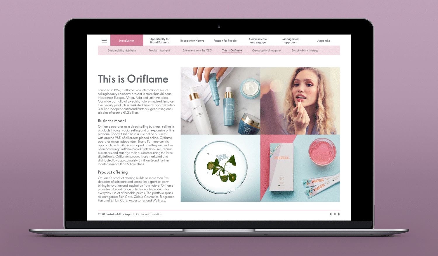  Example pages 