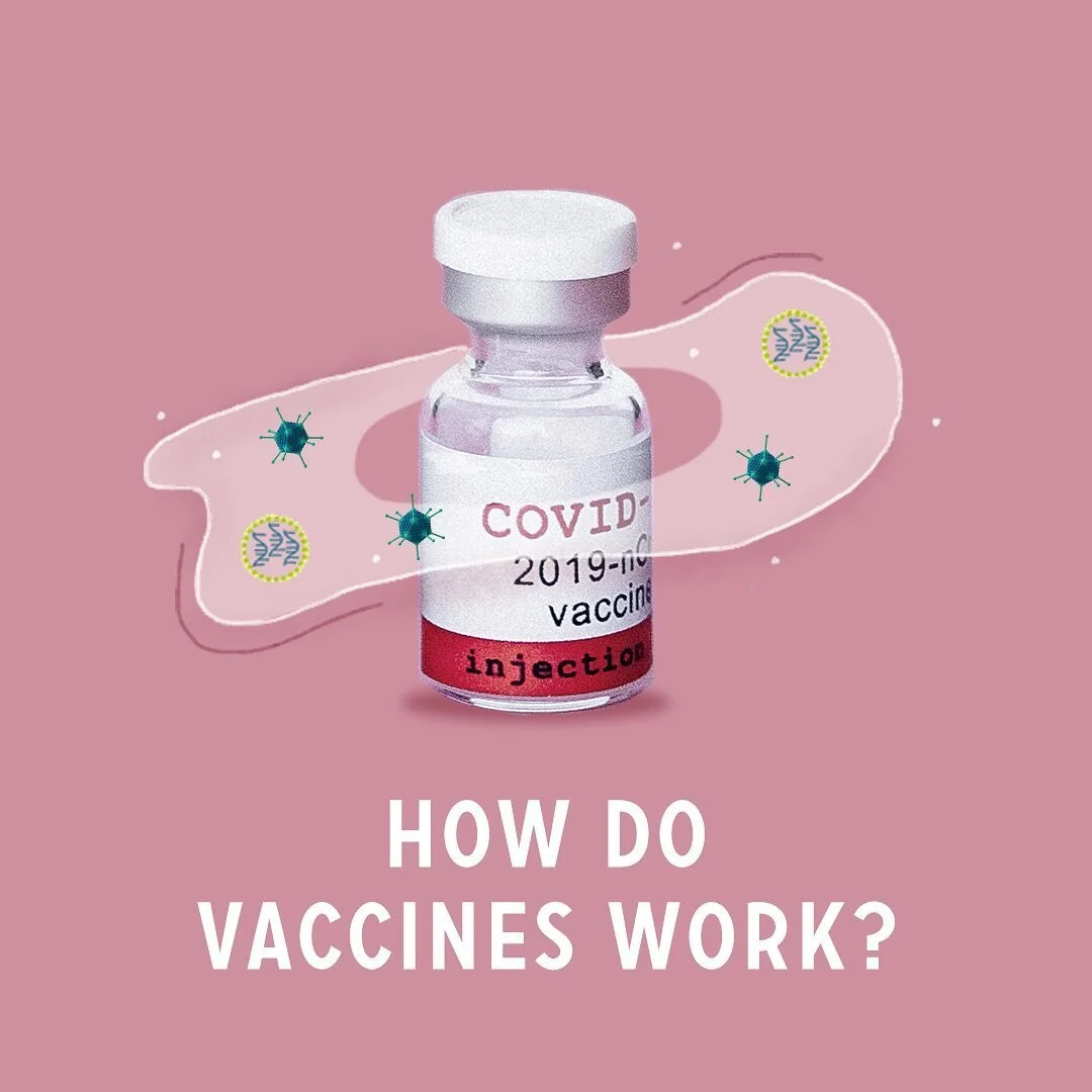 Yesterday the FDA approved the Pfizer-BioNTech Covid-19 Vaccine 🎉 We&rsquo;re not out of the woods yet (please wear a mask and keep your distance!), but this is great news. Swipe through to learn how vaccines work, and please let us know if you have