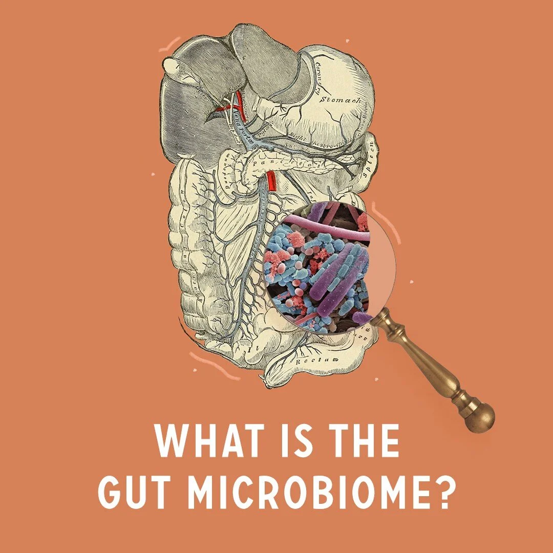 We are not alone in our bodies&ndash;we have a multitude of beneficial microbes living on &amp; within us, including in our gut. The gut microbiome is vital&ndash;it impacts our immune system, mental health, heart health, and much more. Before diving